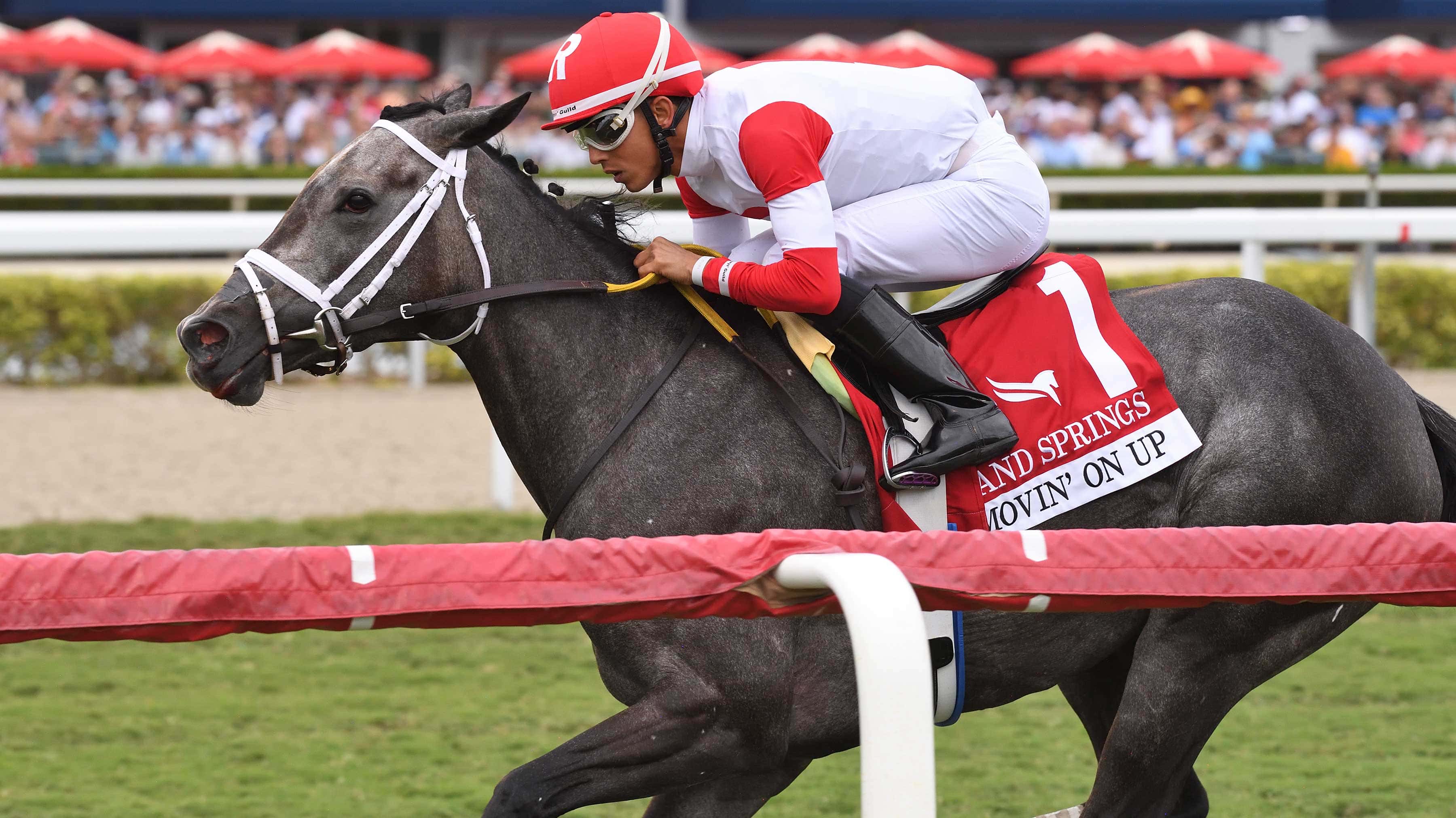 Movin’ On Up Record-Setting Winner of Sand Springs