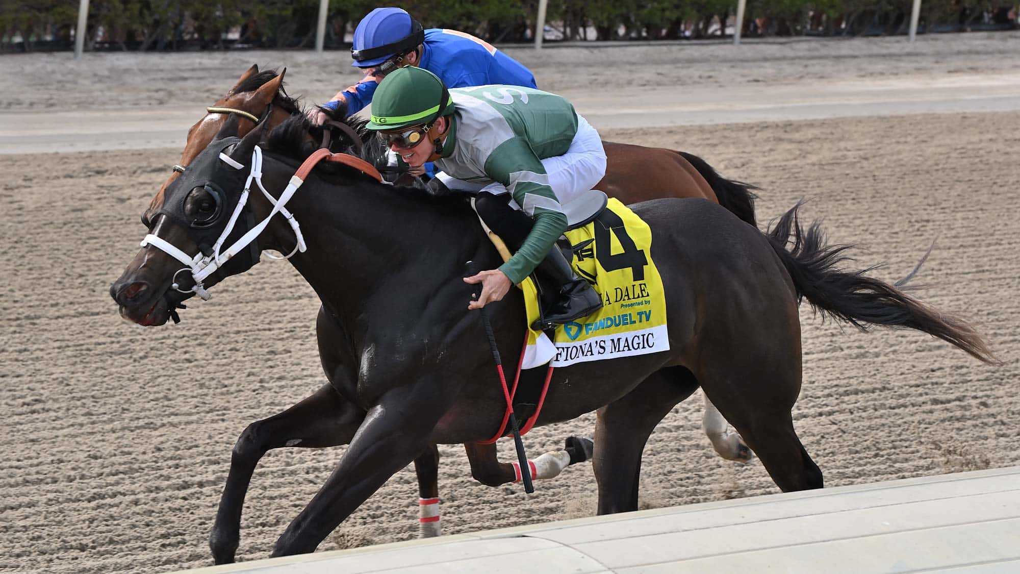 Fionas-Magic-the-Davona-Dale