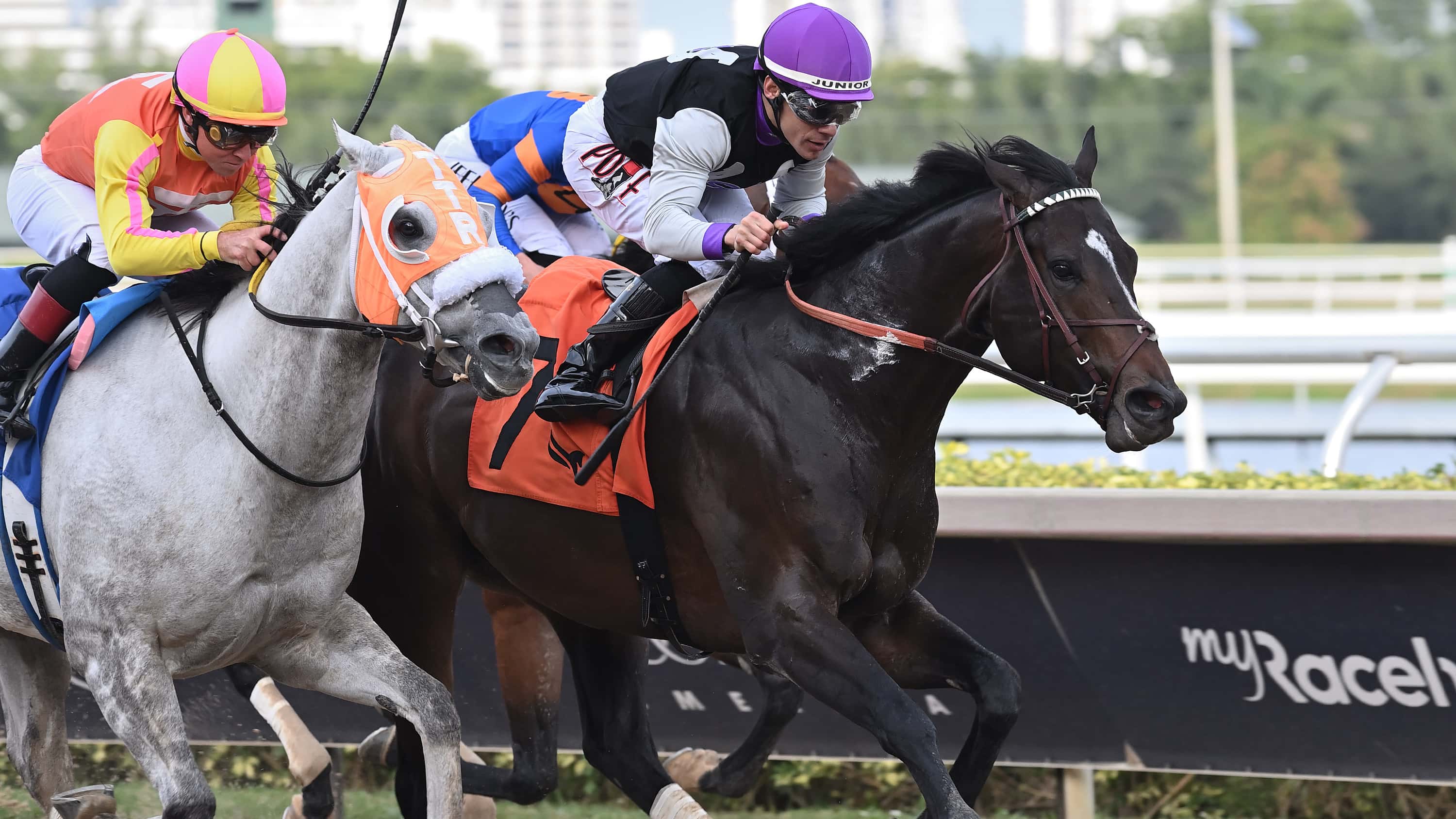 Damons Mound the Sunshine Sprint