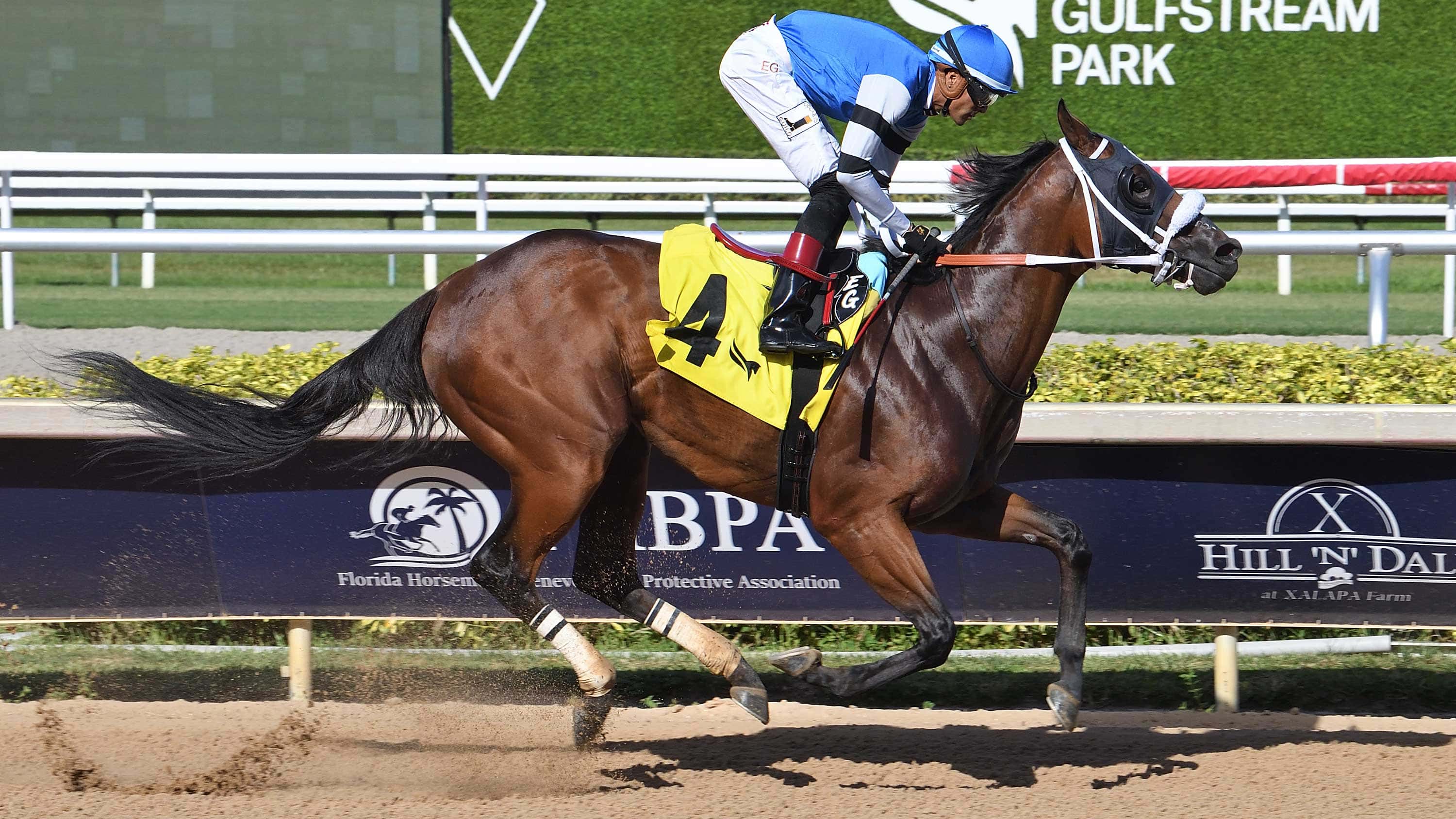 Smile Sprint Winner Viking Returns in Black Diamond Cat