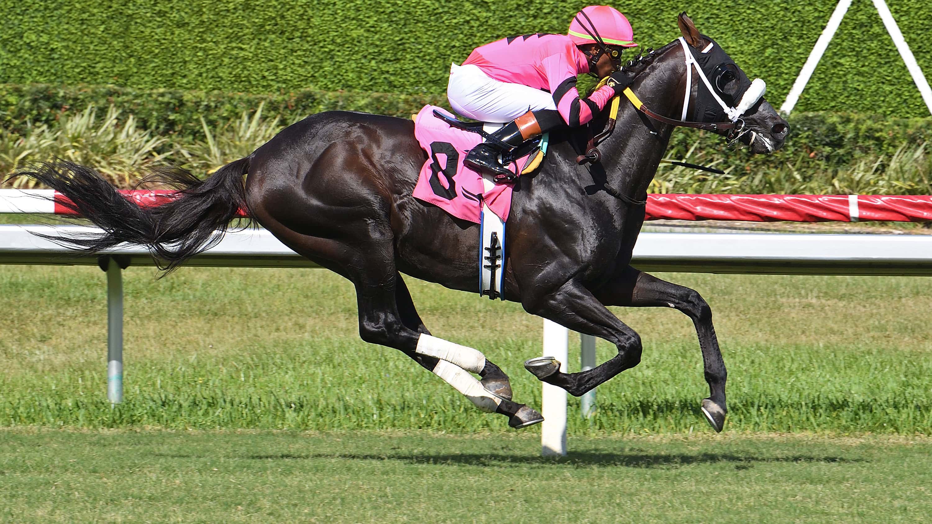 Gran Oriente Popular Winner of $100,000 Soldier’s Dancer