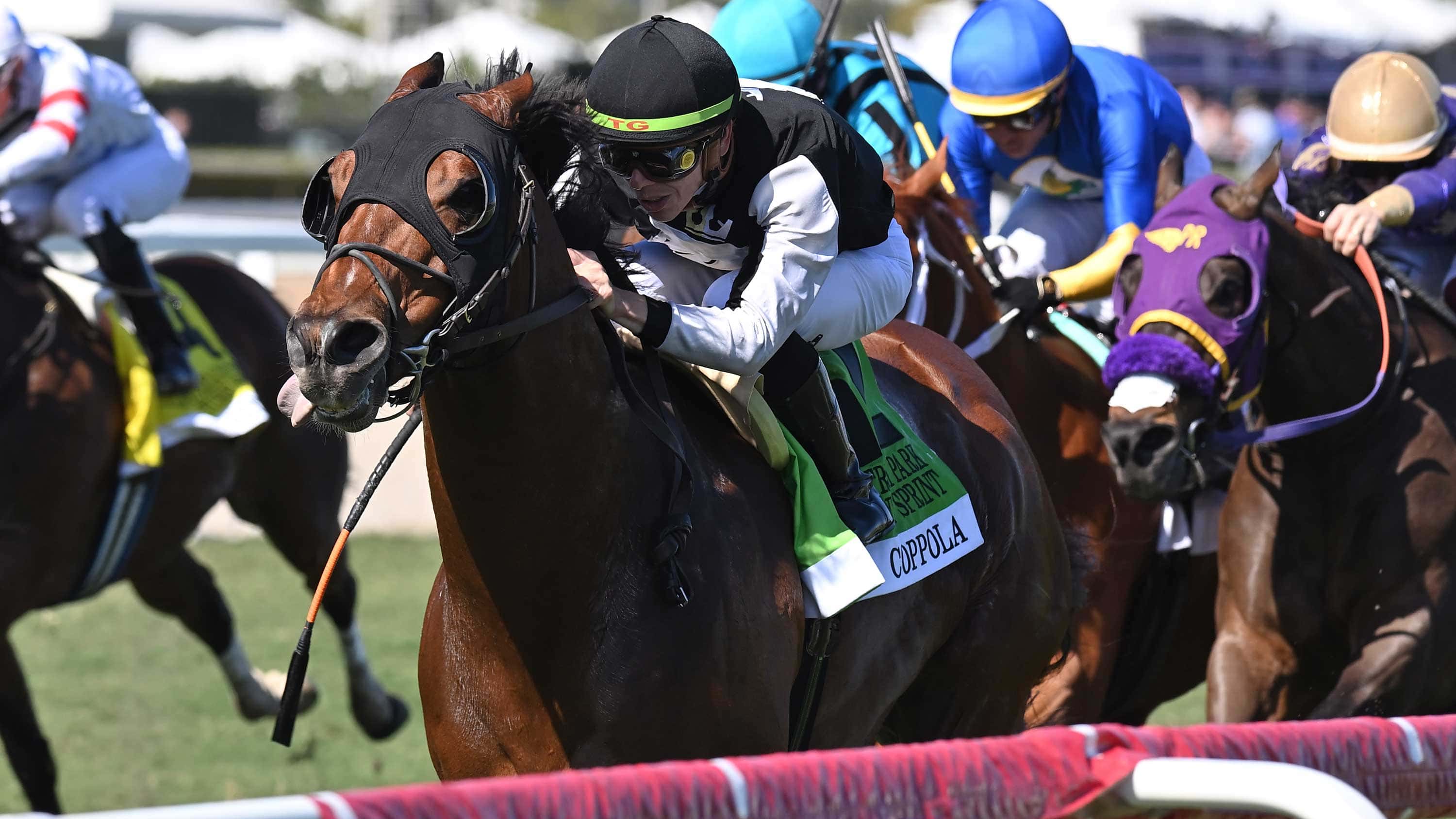 Coppola-the-GP-Turf-Sprint-1