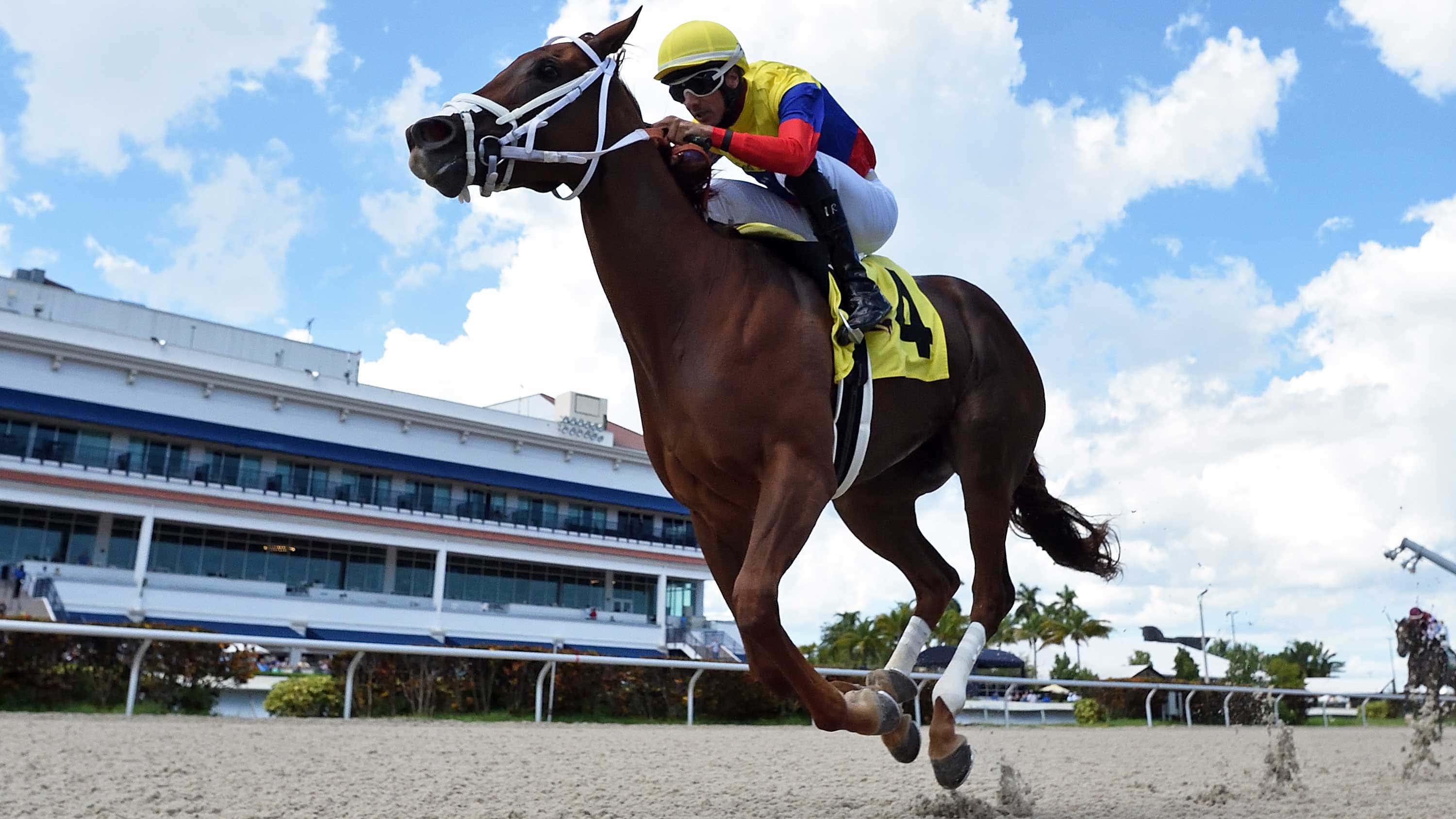 Trainer Barboza Sends Out Talented Trio in Lady’s Island