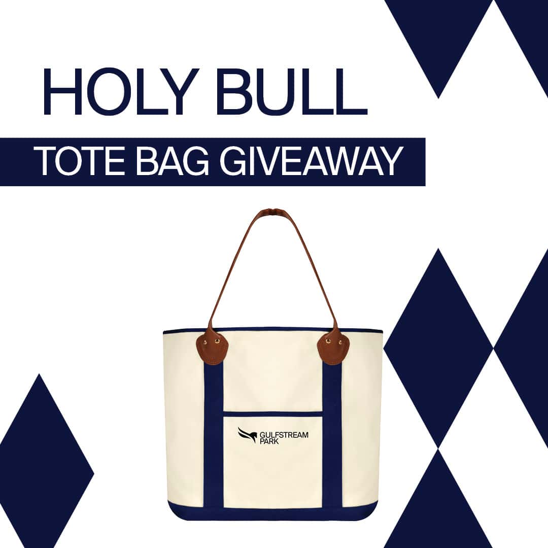HolyBull-Tote-Bag-Giveaway 4 (1) background asset