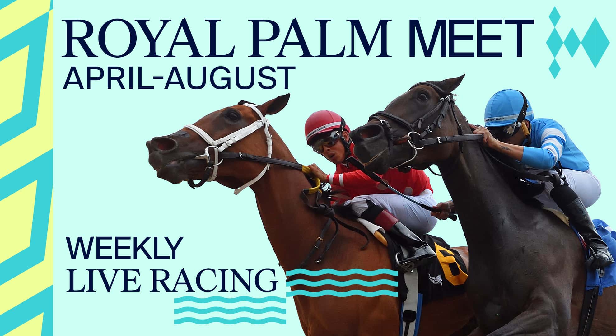 1920x1080 Royal Palm Meet V2 background asset