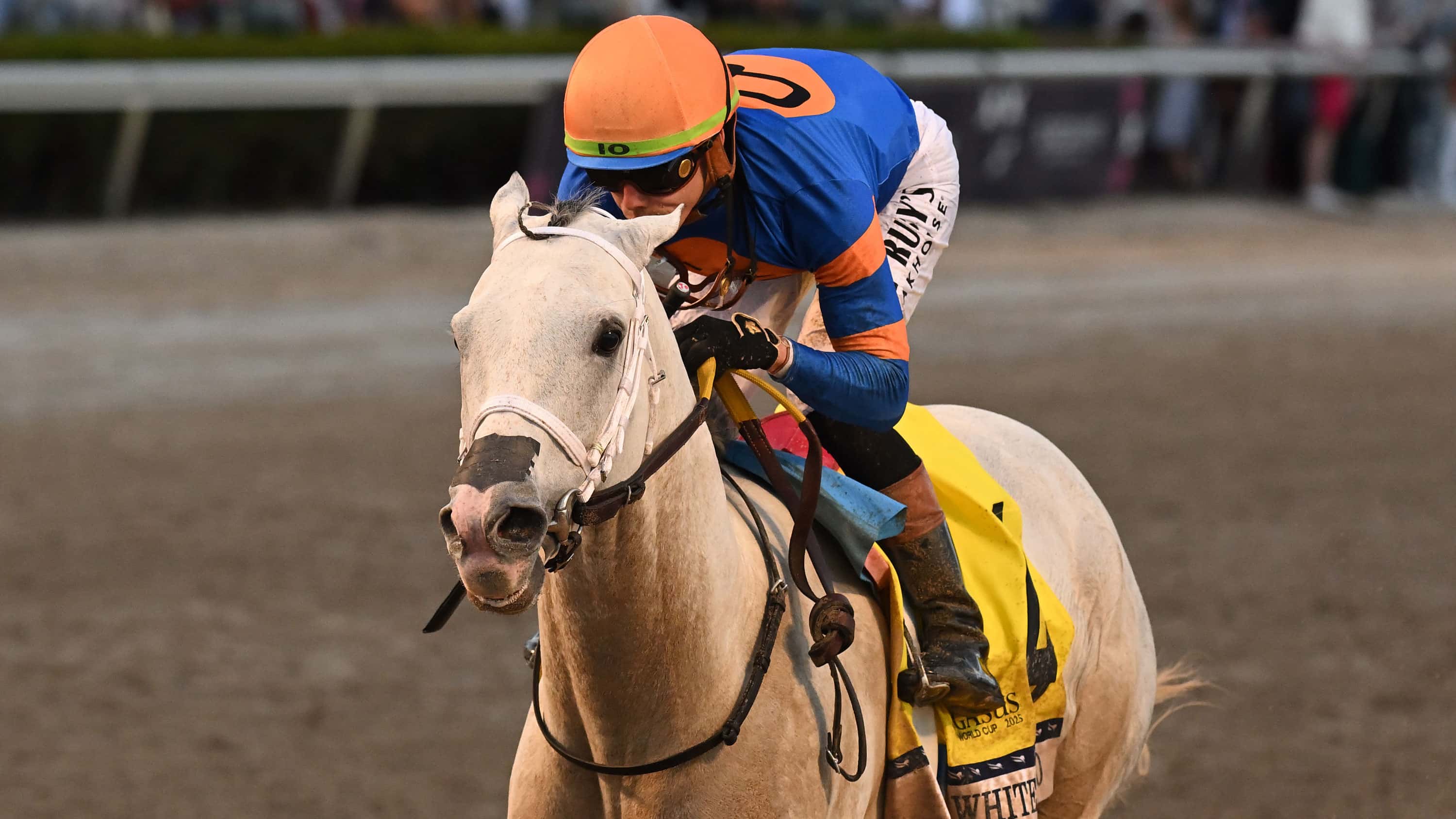 White Abarrio Invited to Defend Title in G1 Pegasus World Cup