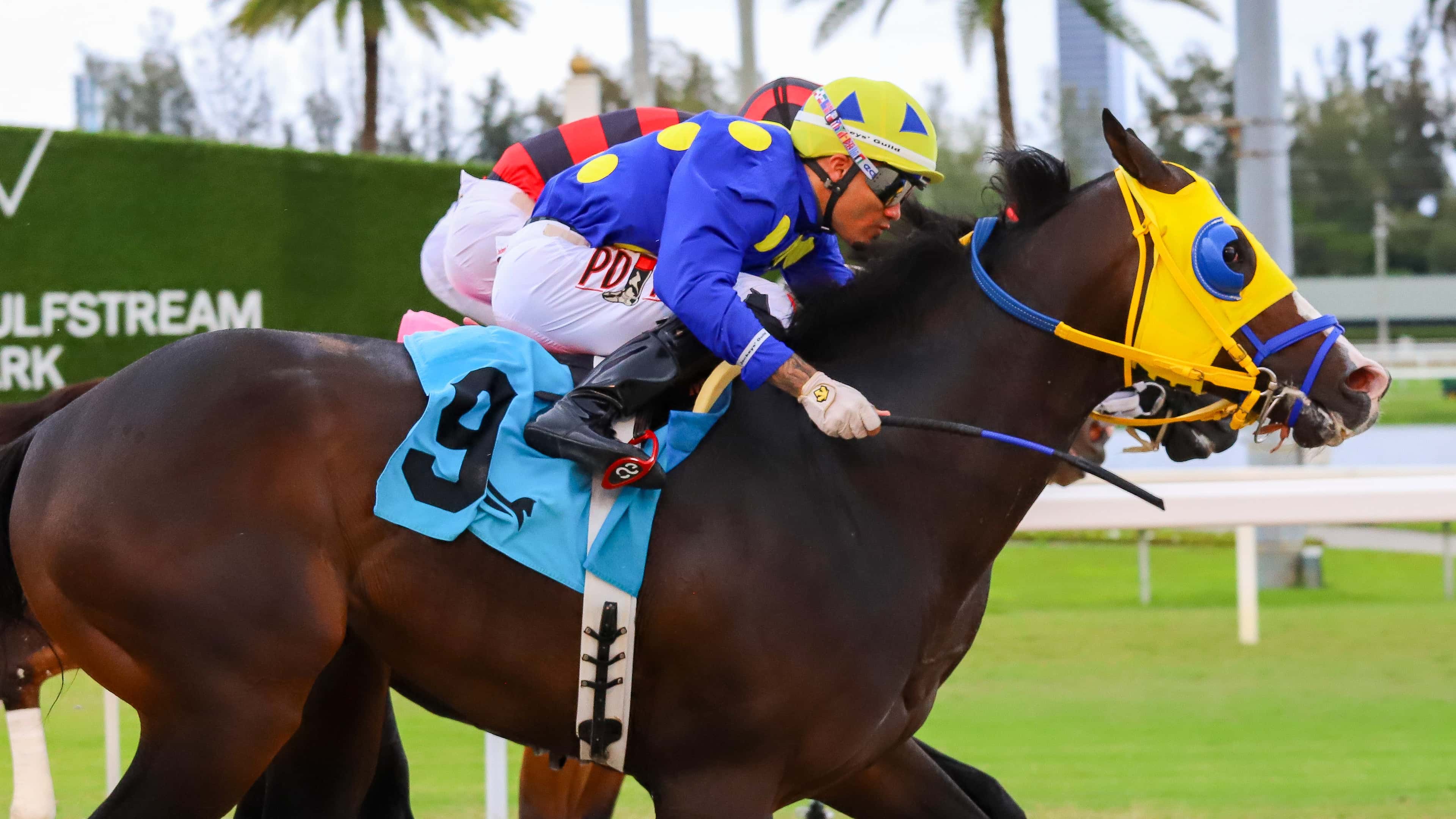 Okiro, entrenado por José Garoffalo, se impuso en The Thirsty Fish Handicap