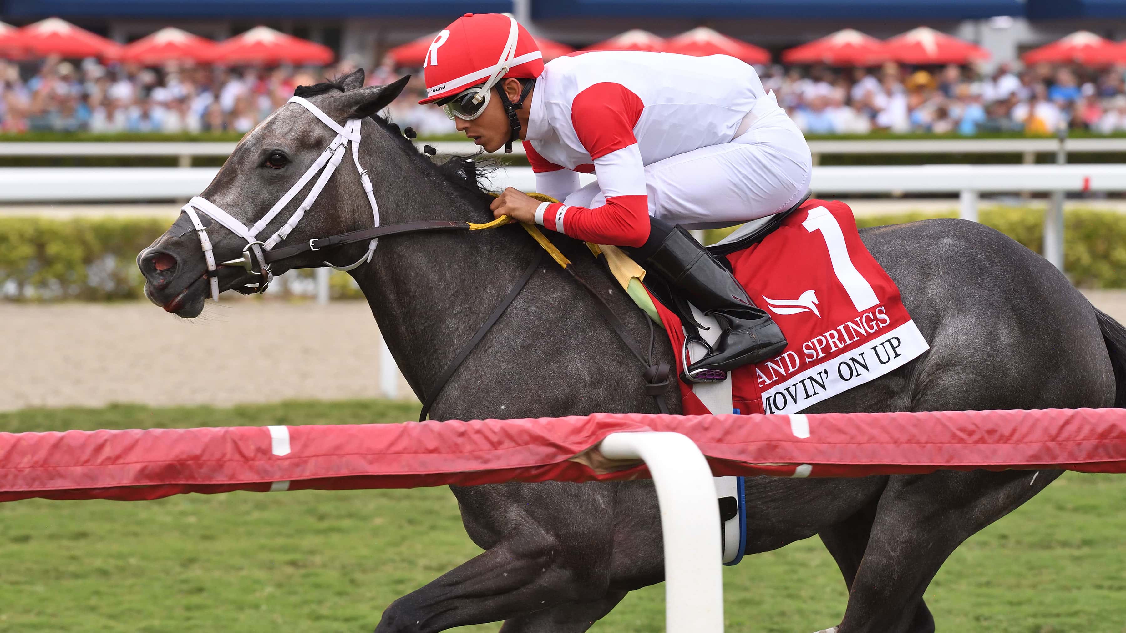 Movin-On-Up-the-Sand-Springs