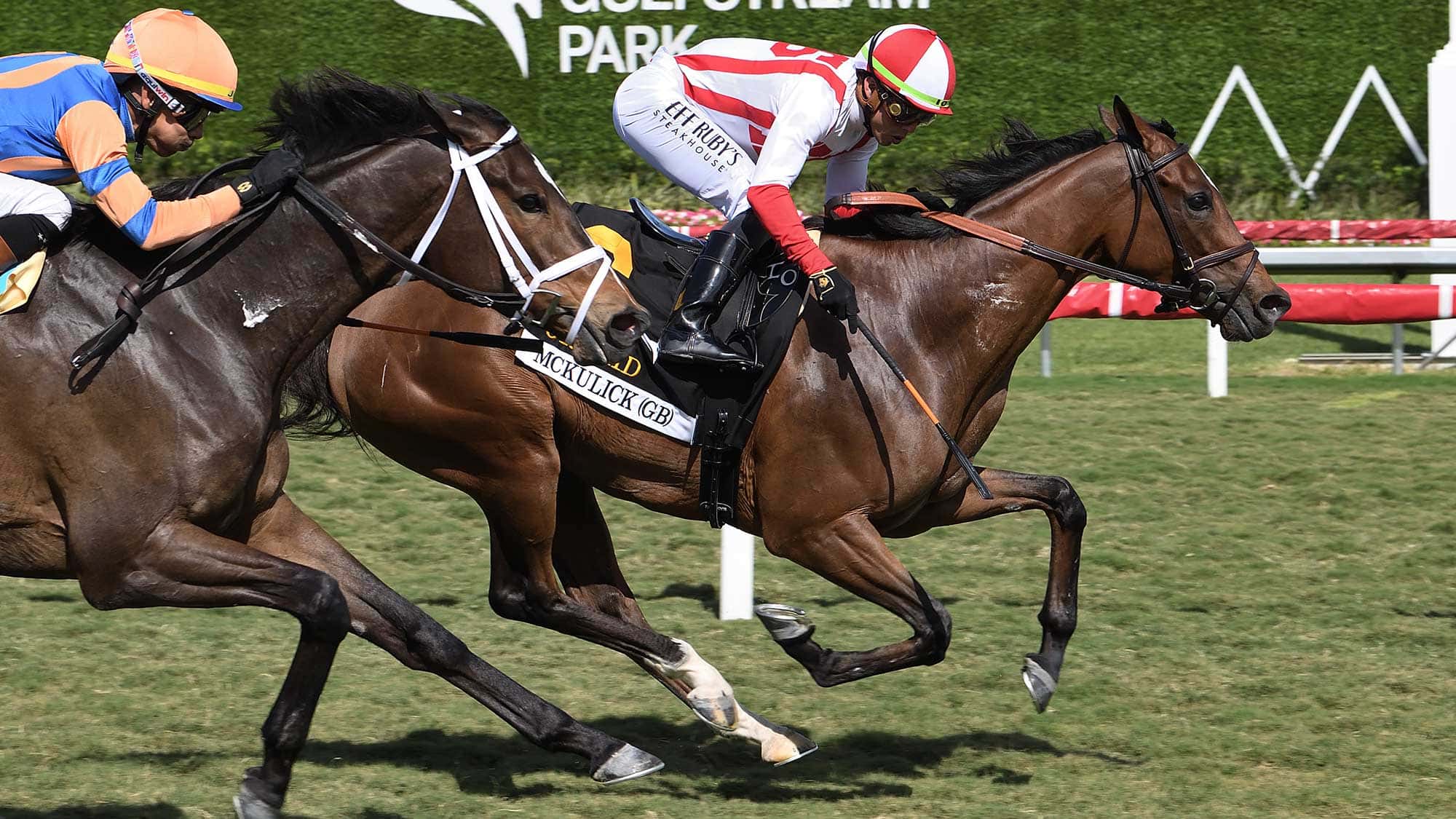 McKulick Returns from Layoff, Wins Orchid (G3)