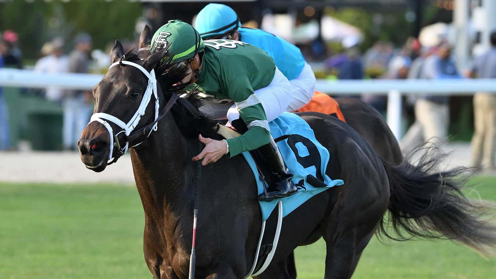 Junipermarshmallow-the-Wait-a-While