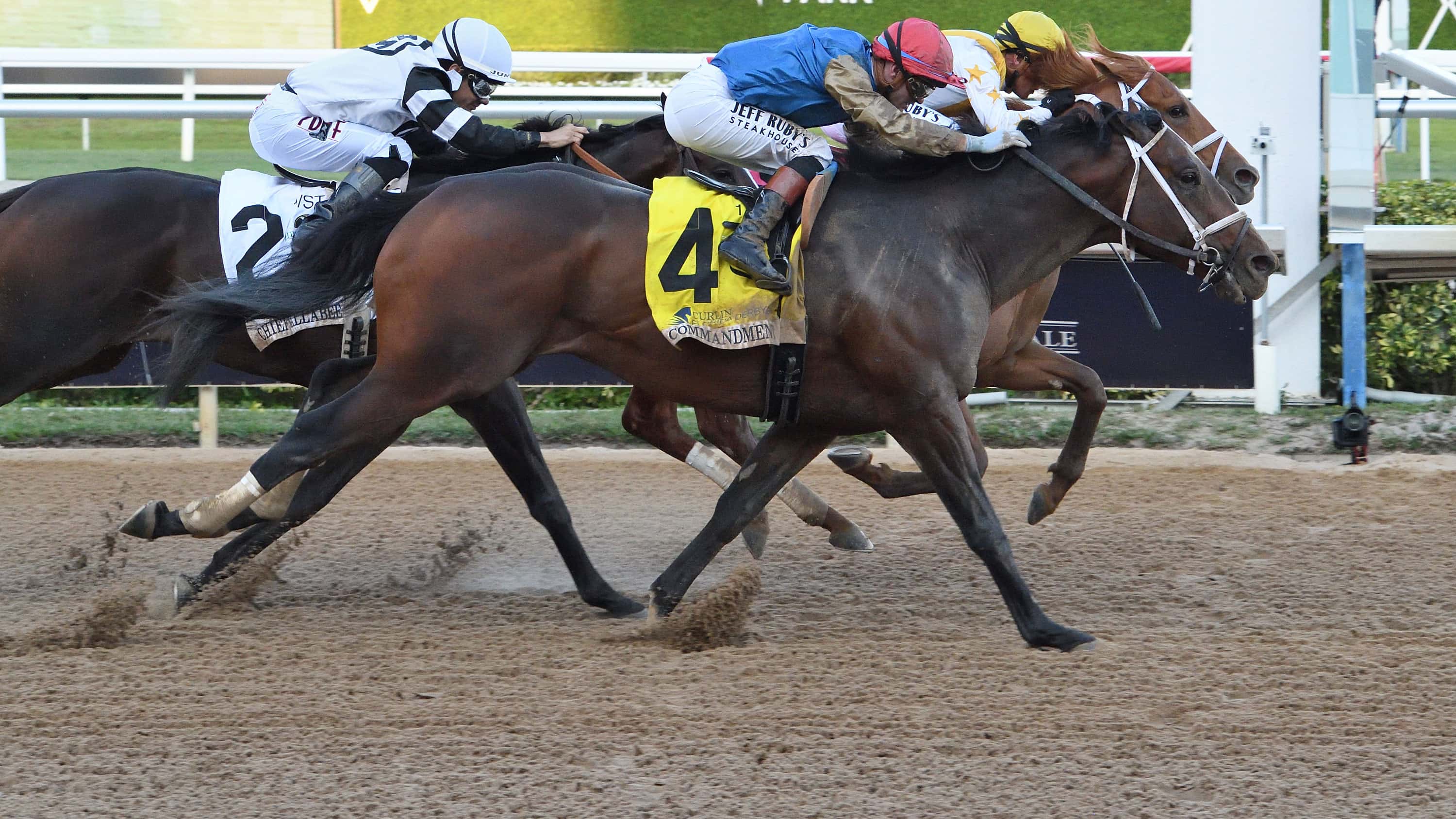 Commandment-the-FL-Derby