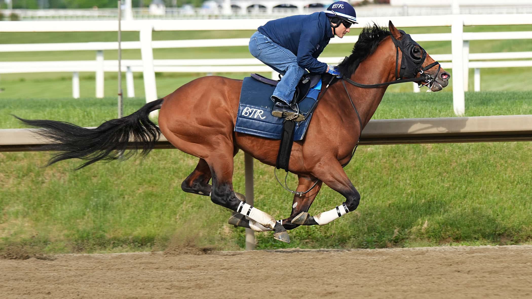 Talkin Adds Weight, Muscle Heading into Preakess Stakes