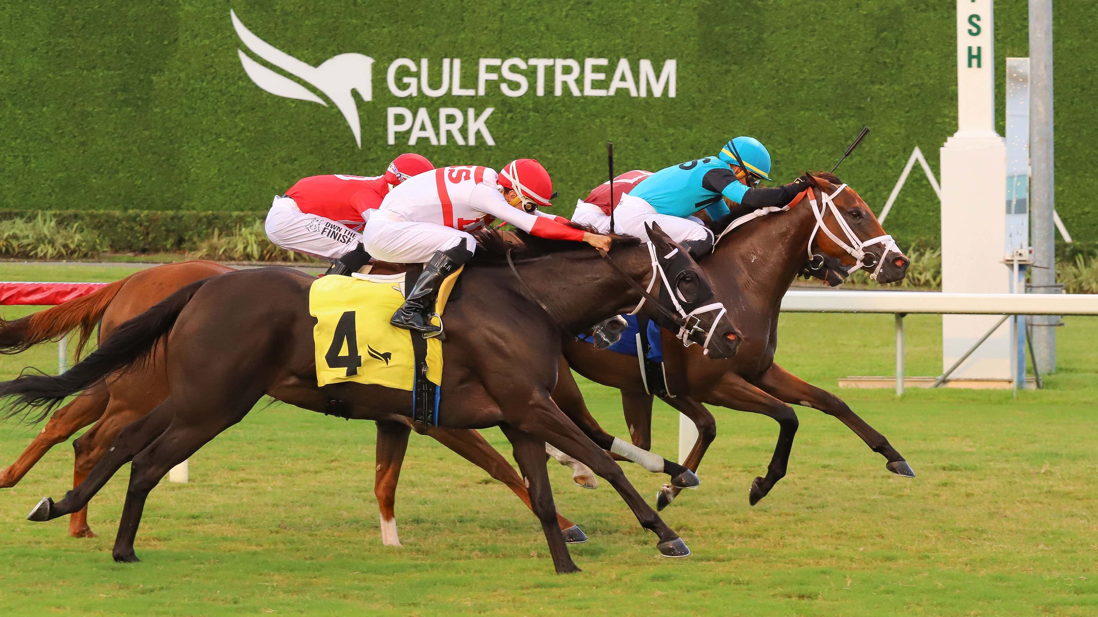 Modern Beauty se impone en espectacular y cerrada llegada en Gulfstream Park