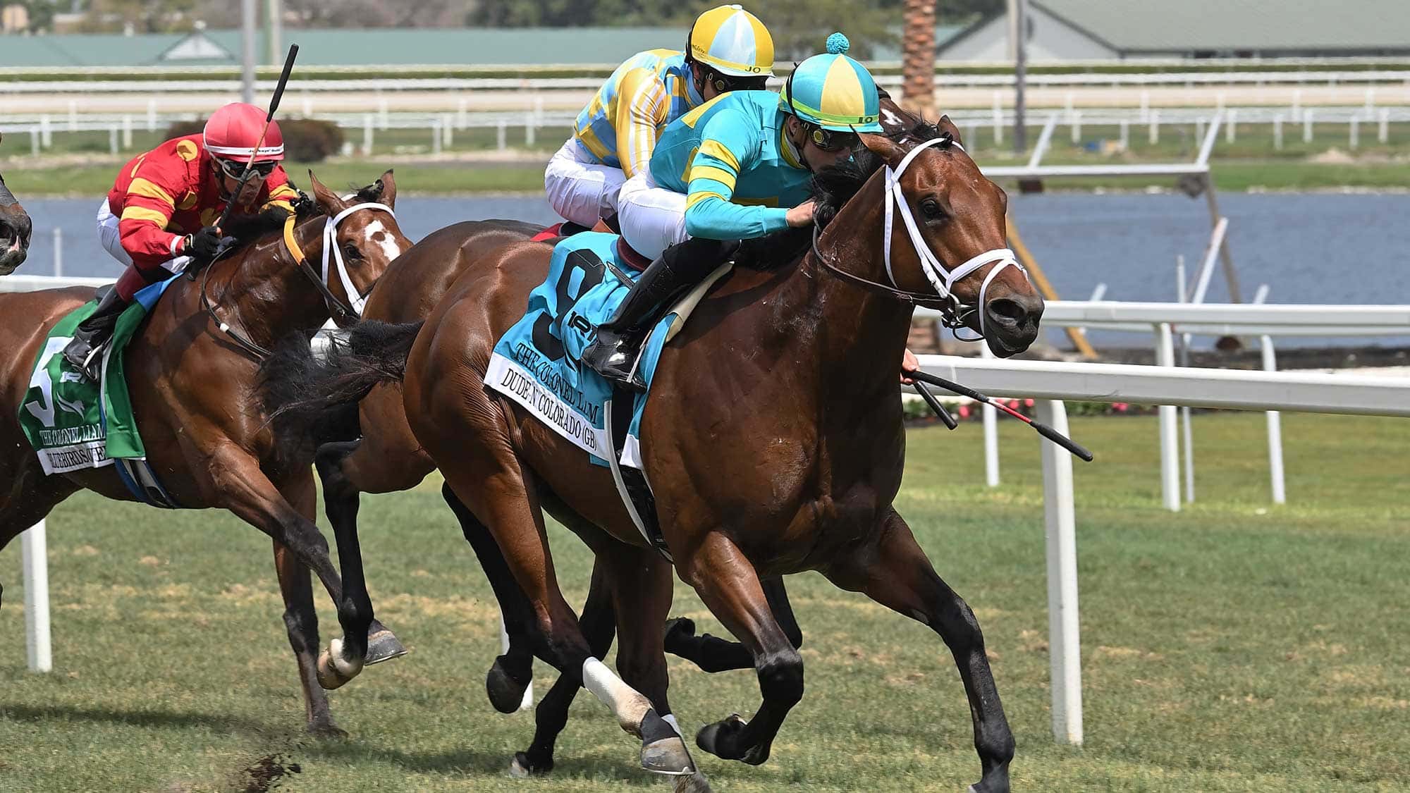 Dude-N-Colorado-the-Colonel-Liam