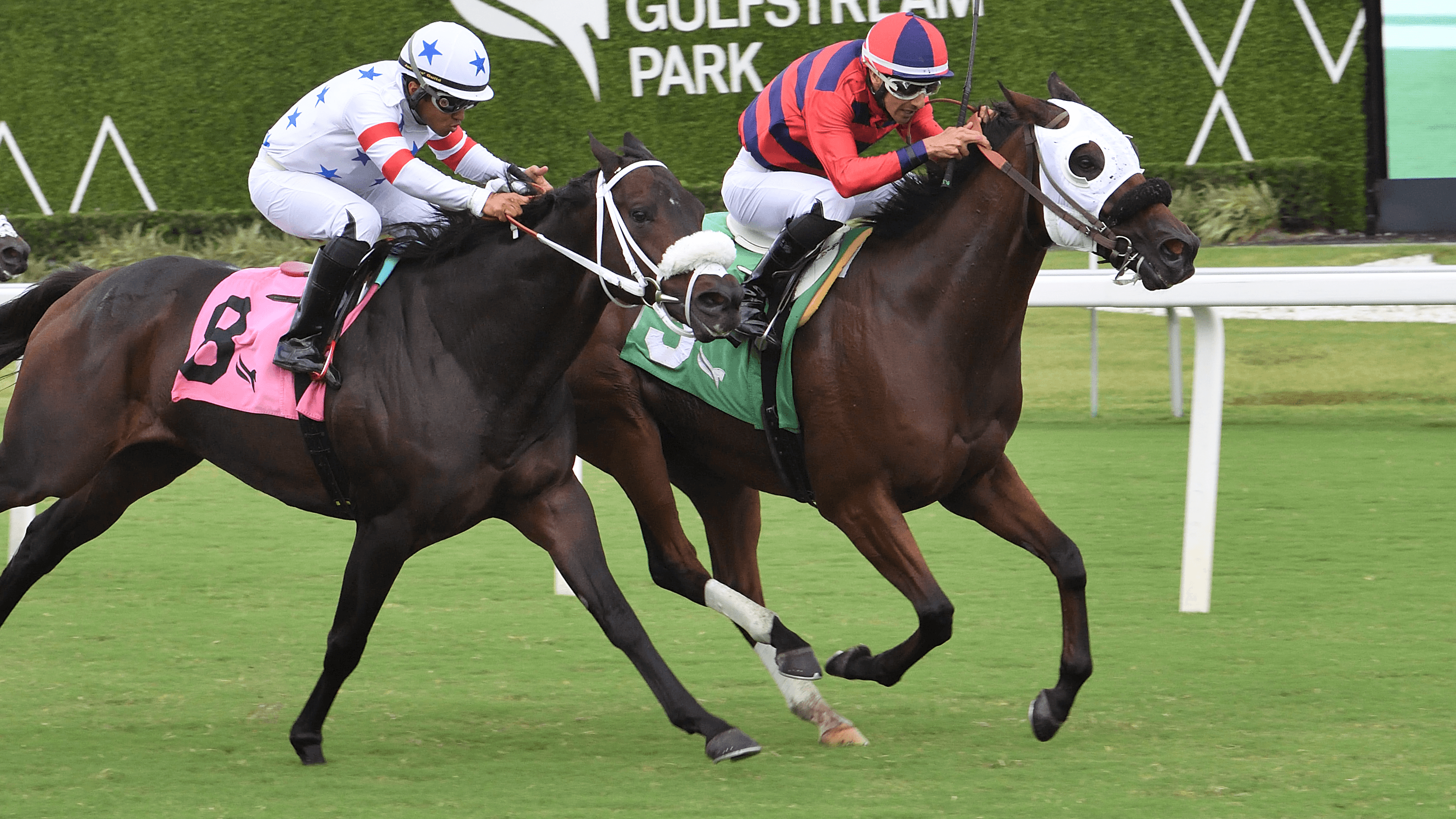 Private-Thoughts-the-Jet-Propulsion