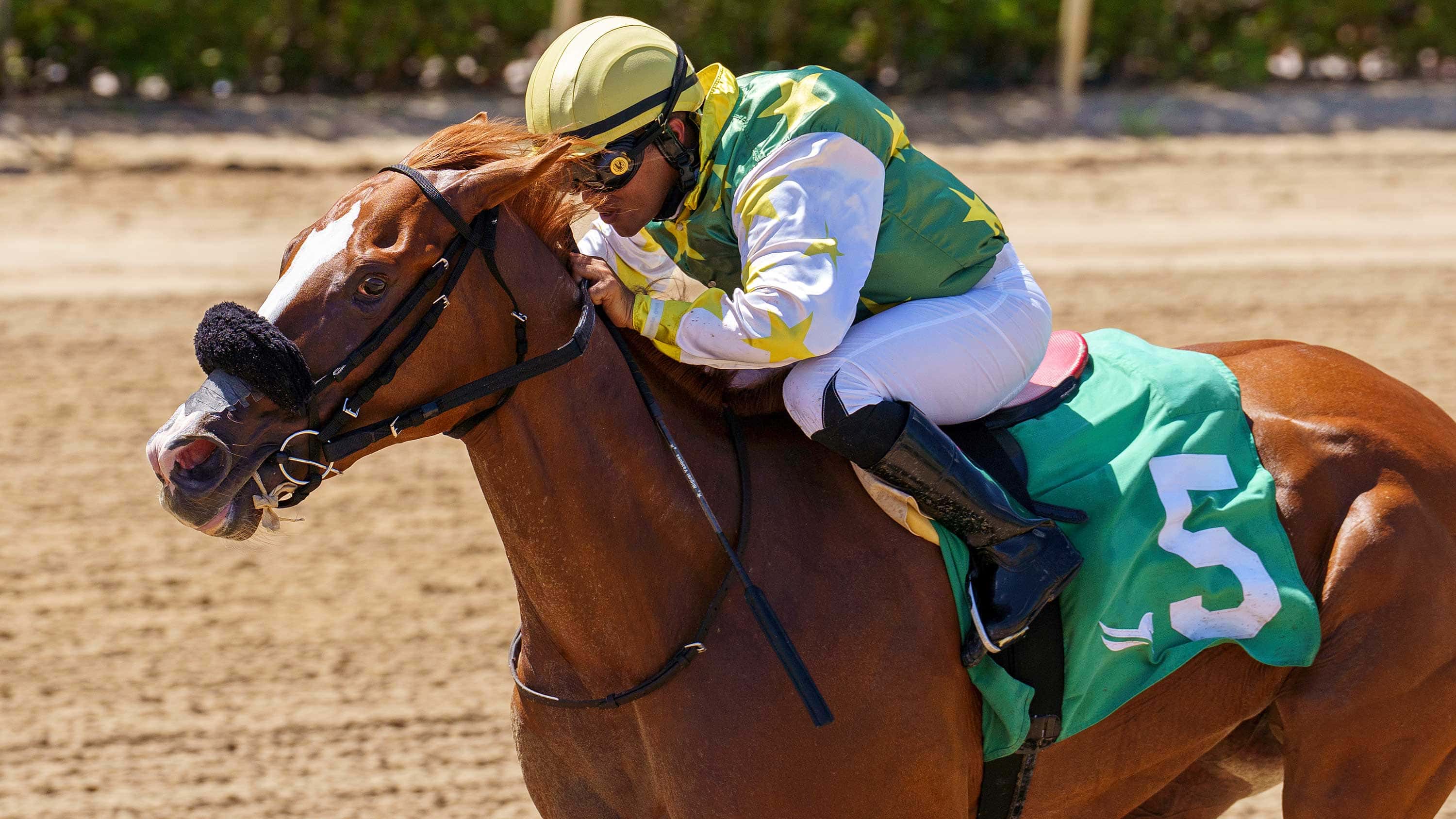 Liberty Rings Bounces Back in $100,000 Scandalous Act Win