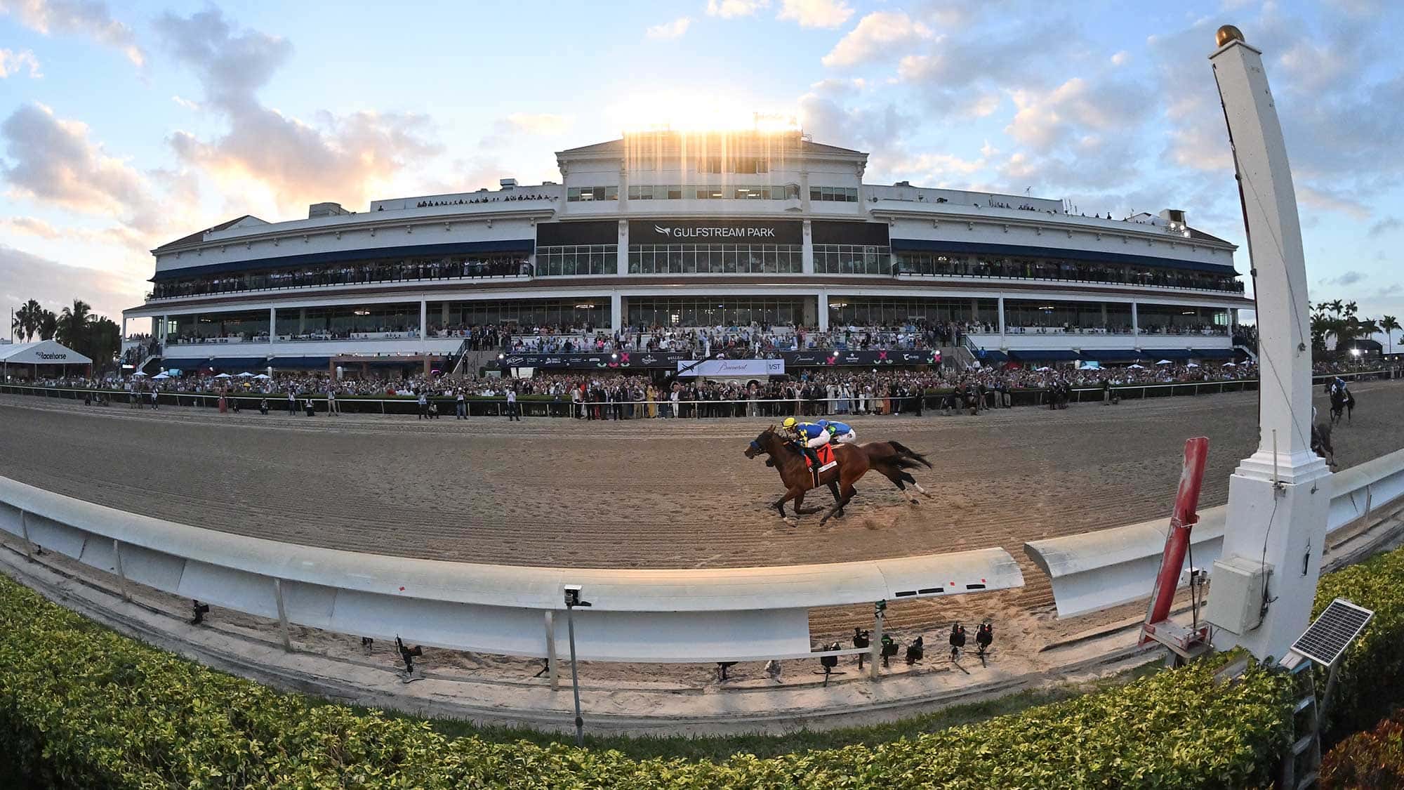 Pegasus World Cup Press Conference