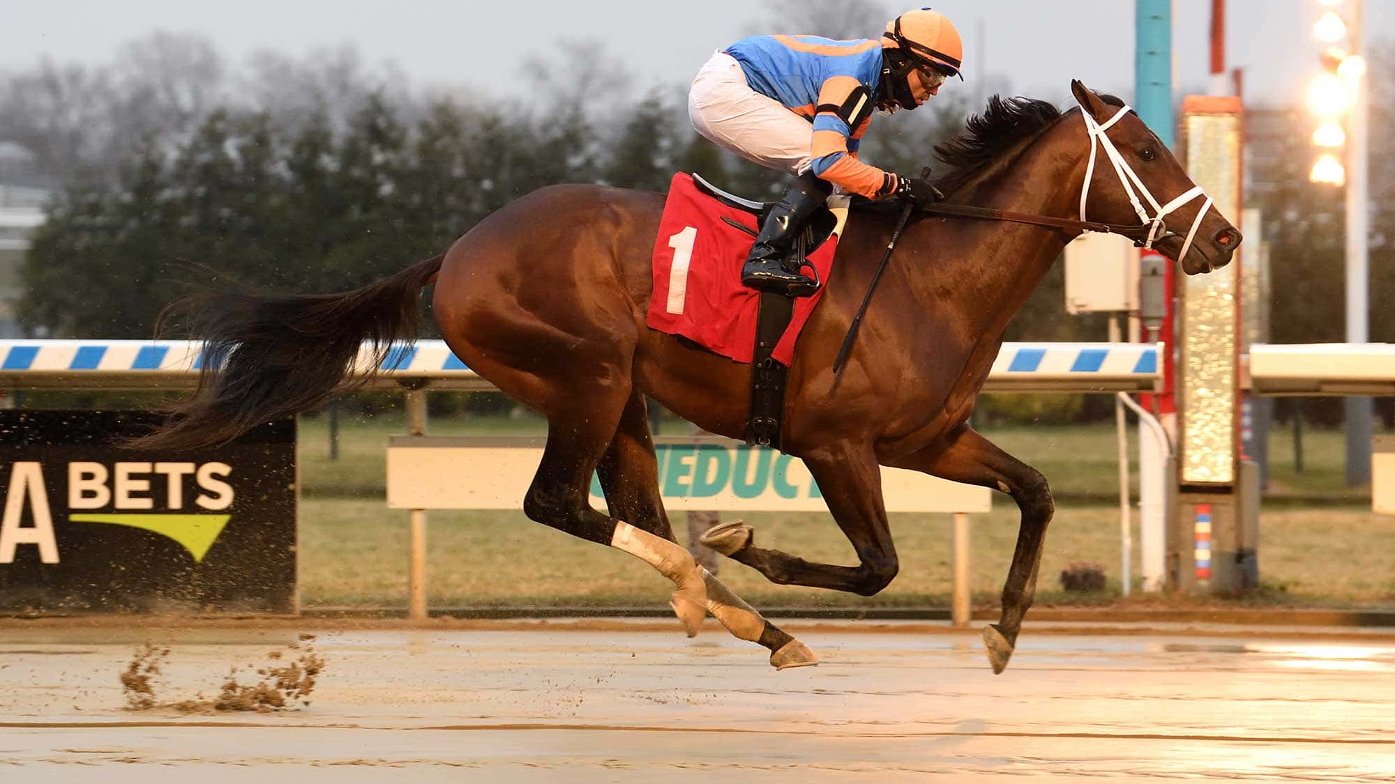 Jerry-the-Nipper-January-3-2021