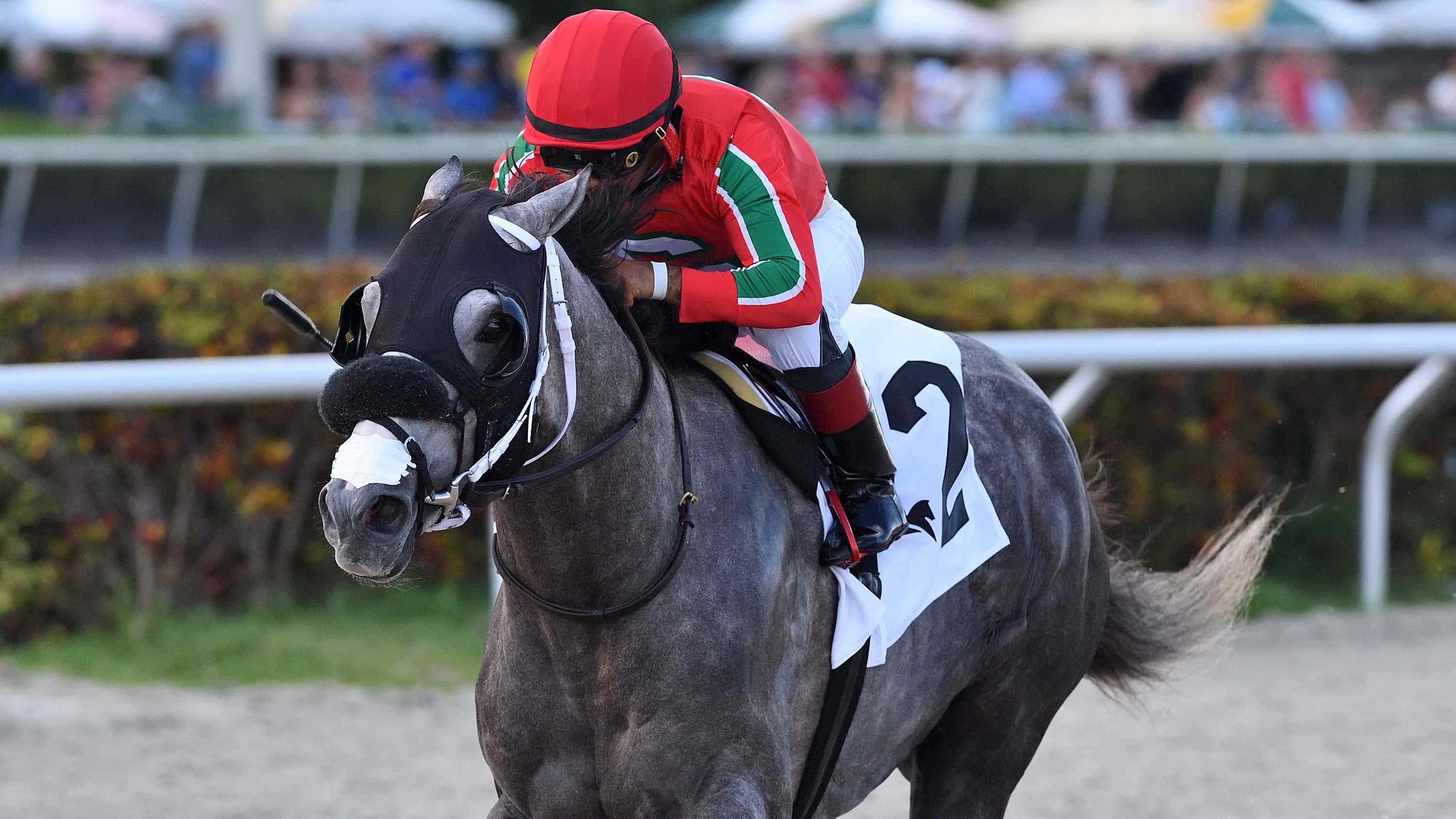 Amstrong-the-Not-Surprising-