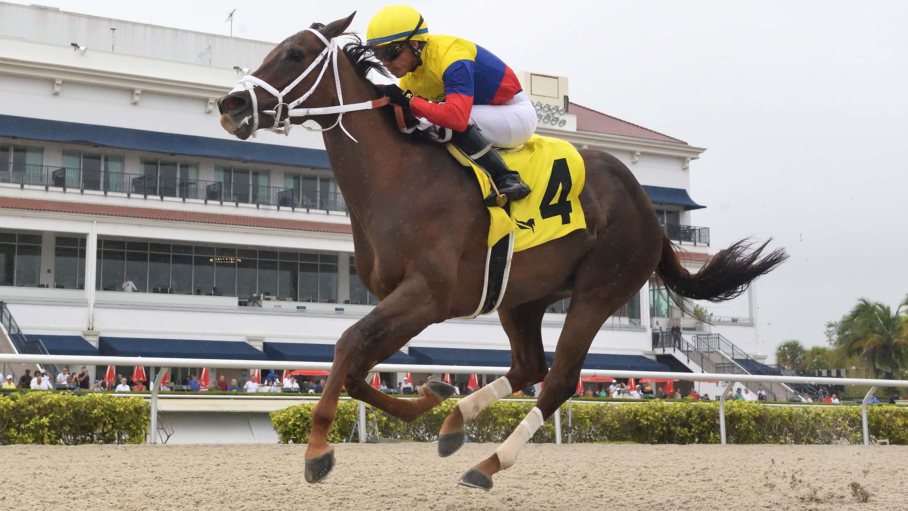 Great Venezuela Makes Triumphant Return in Islamorada