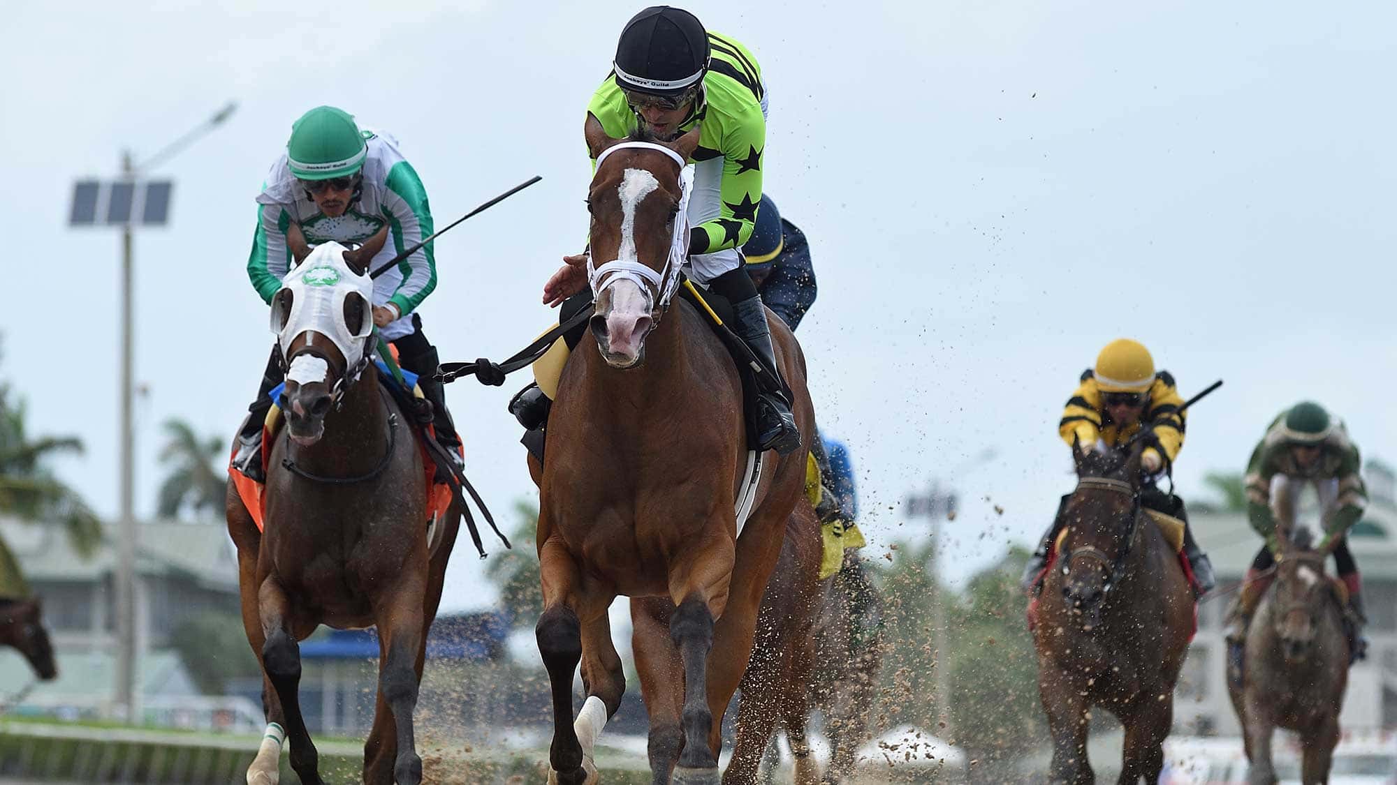 Let-Them-Watch-The-Sharp-Susan