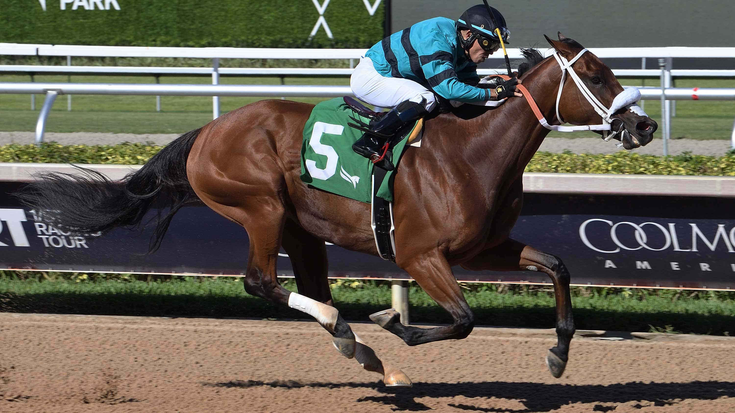 Beths-Dream-the-My-Pal-Chrisy