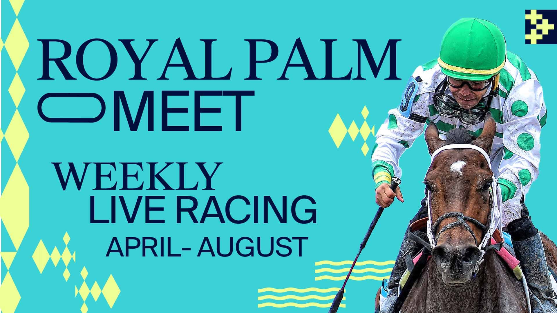 Royal Palm Meet TV slate 1920x1080 Royal Palm Meet TV slate 1920x1080