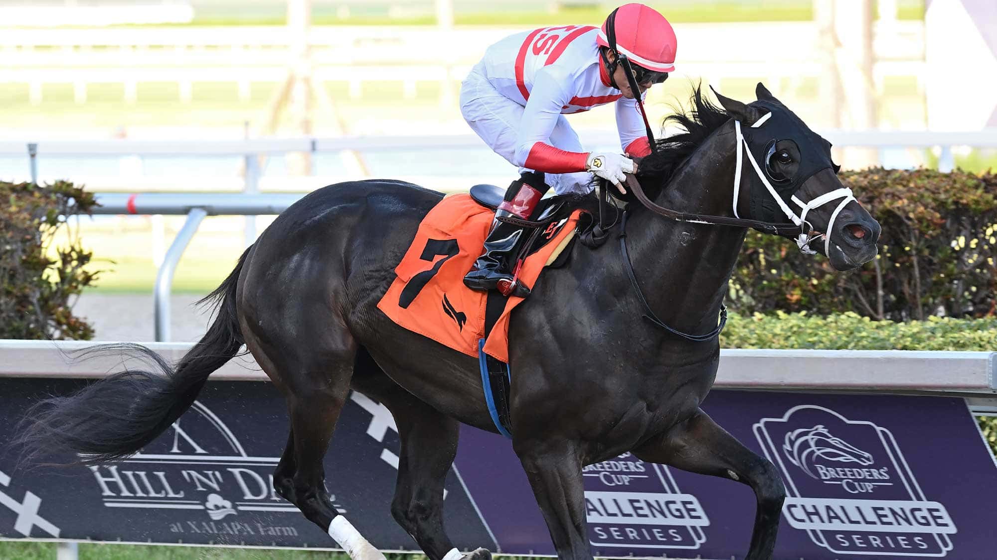 Bentornato-the-FSS-Affirmed-23