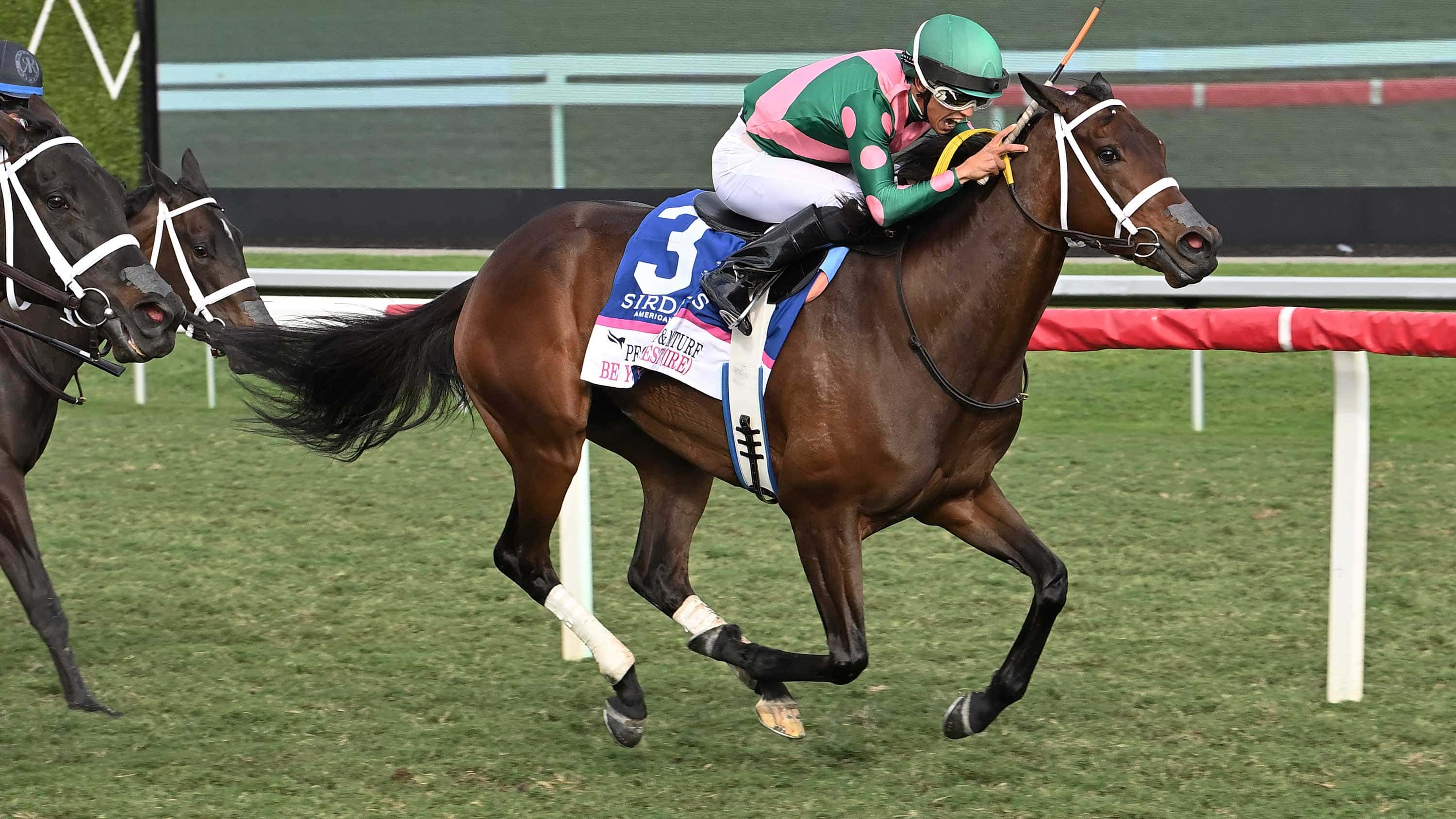 Be-Your-Best-the-Pegasus-Filly-Mare-Turf