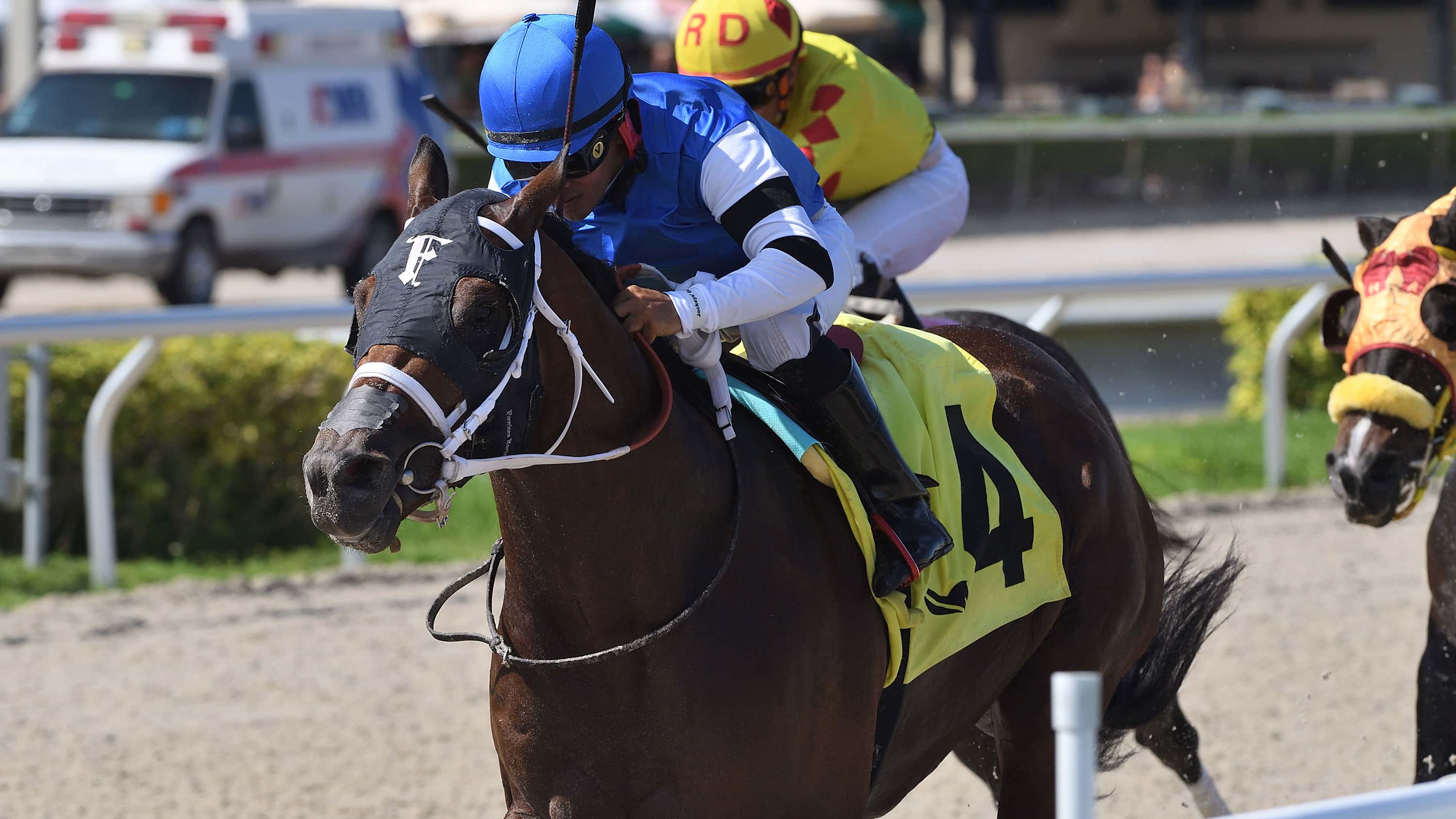 Reef-Runner-the-Bob-Umphrey-Sprint-