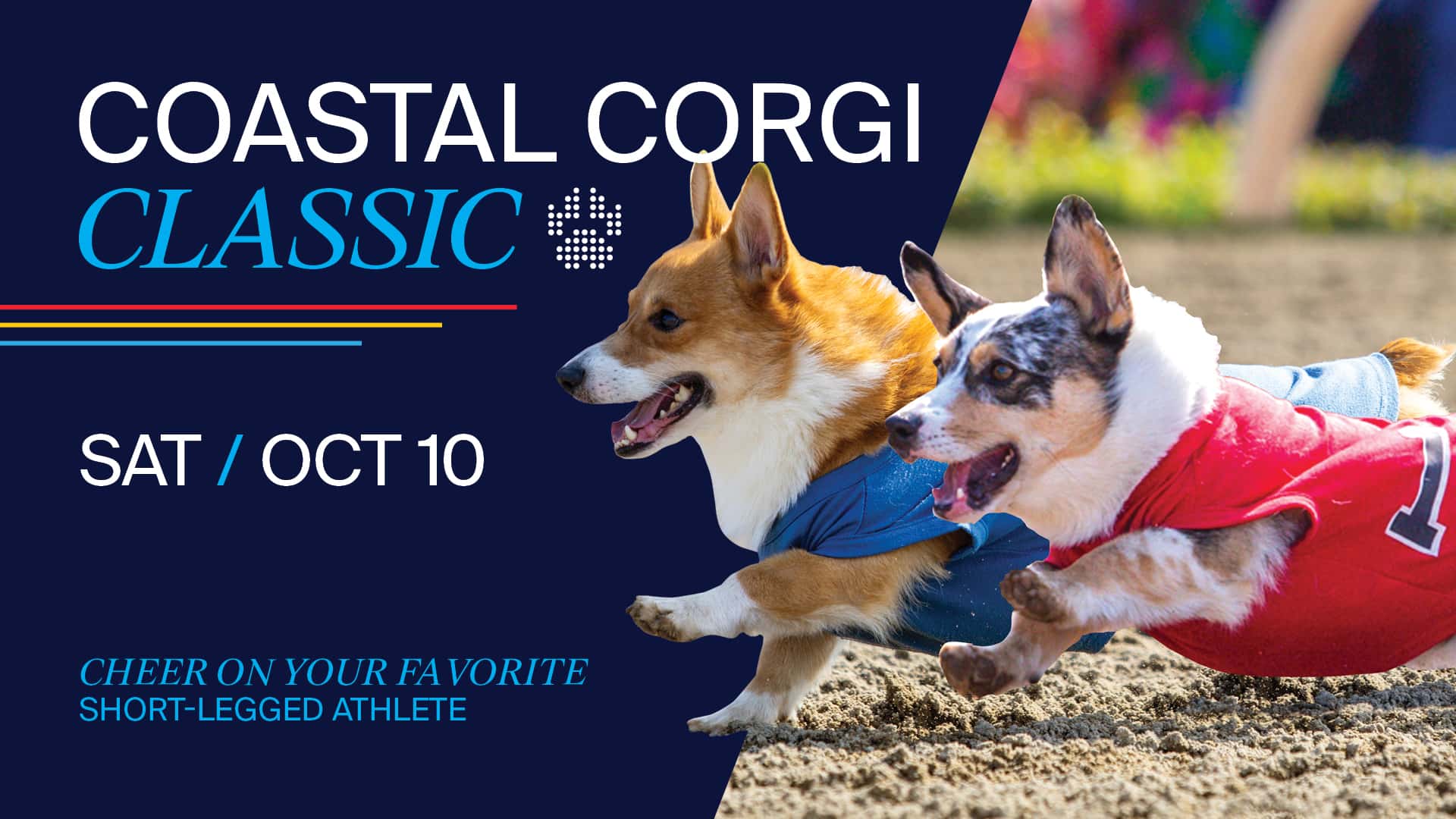 1920x1080 Coastal Corgi Classic (1) background asset