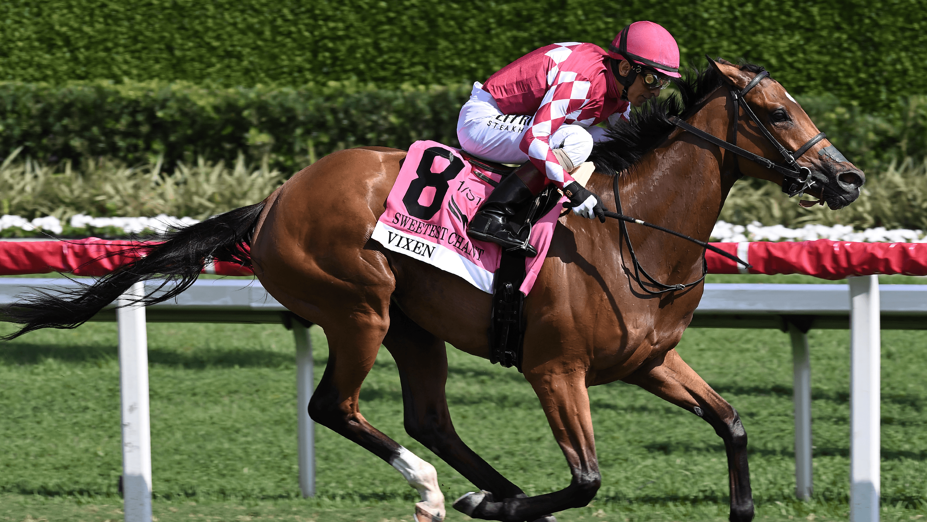 Vixen-the-Sweetest-Chant-