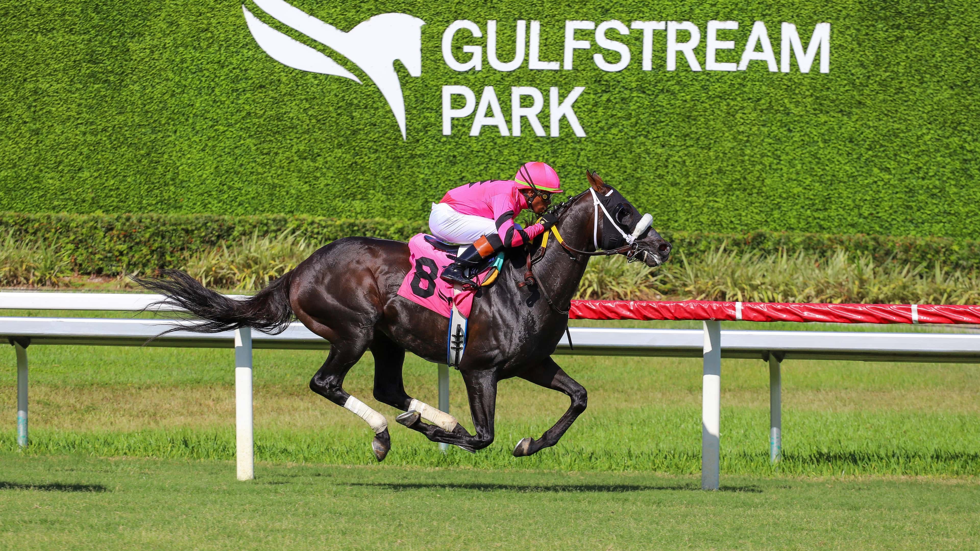 The Soldier-s Dancer Handicap