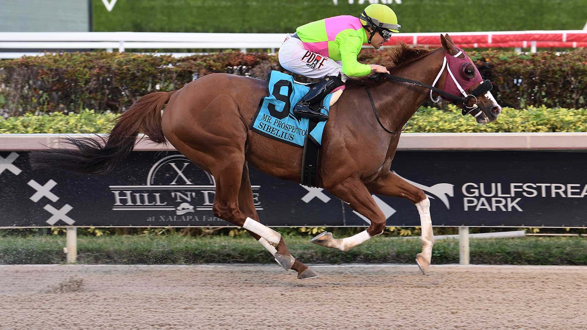 Sibelius-the-Mr-Prospector01