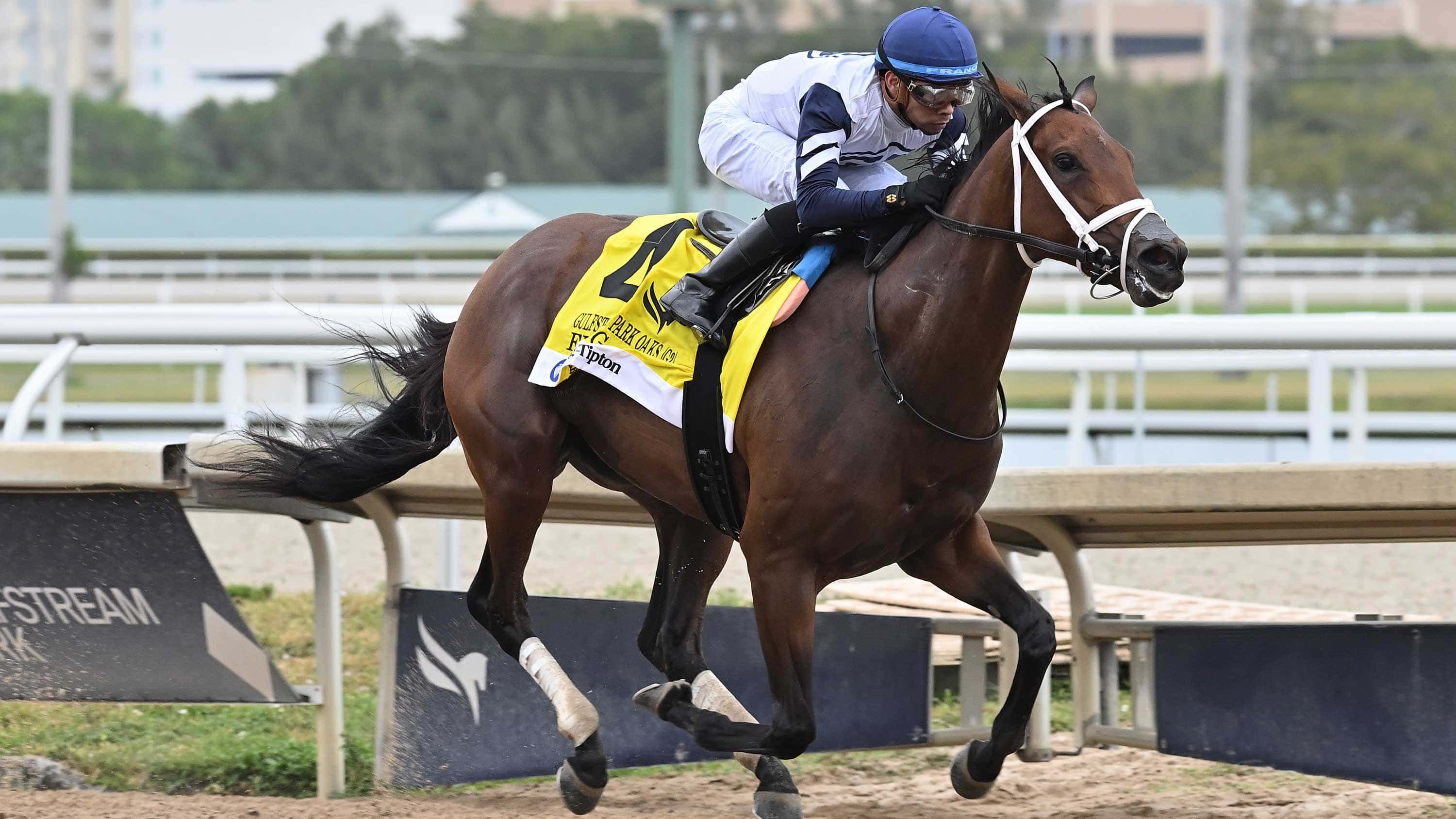 Five G Determined Winner of Gulfstream Park Oaks (G2)