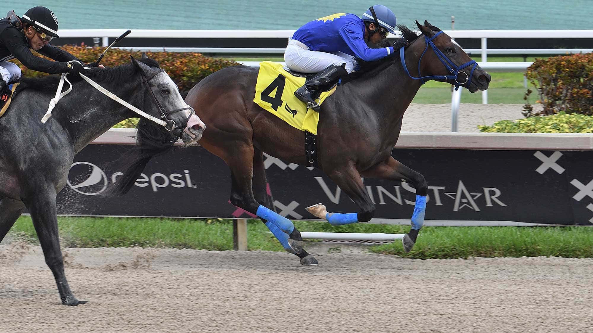 Divieto-the-Aventura