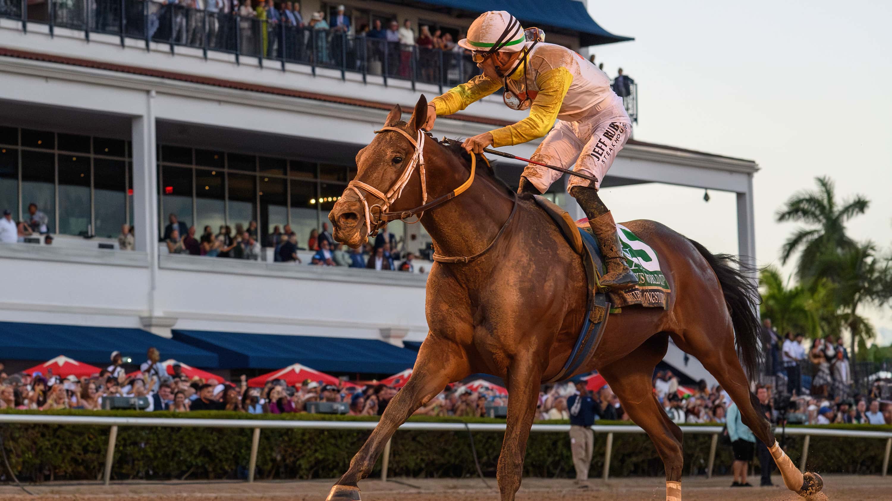 Pegasus World Cup Invitational Press Conference