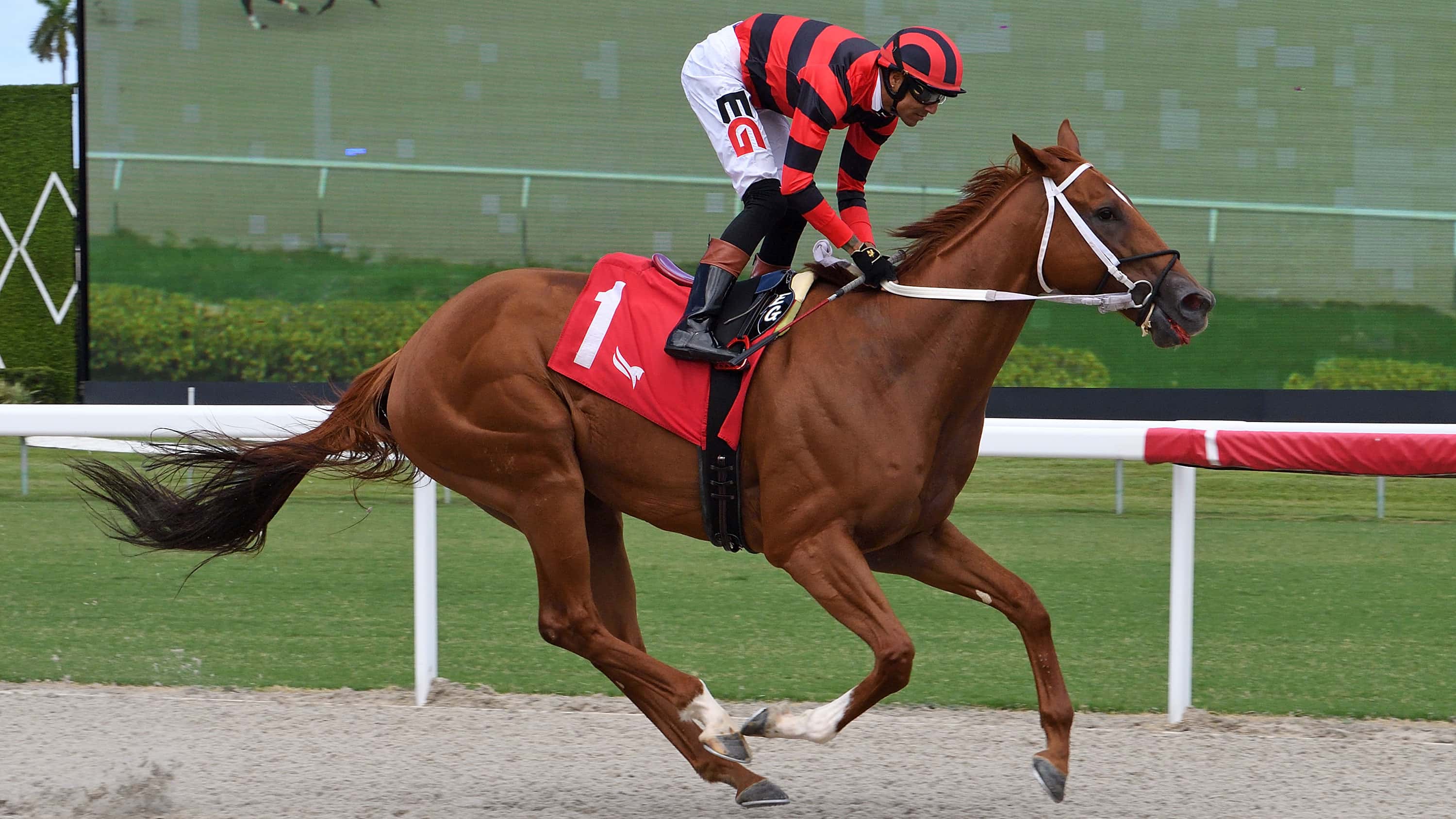 Rezasrolex Returns to Winning Ways in Friday Feature