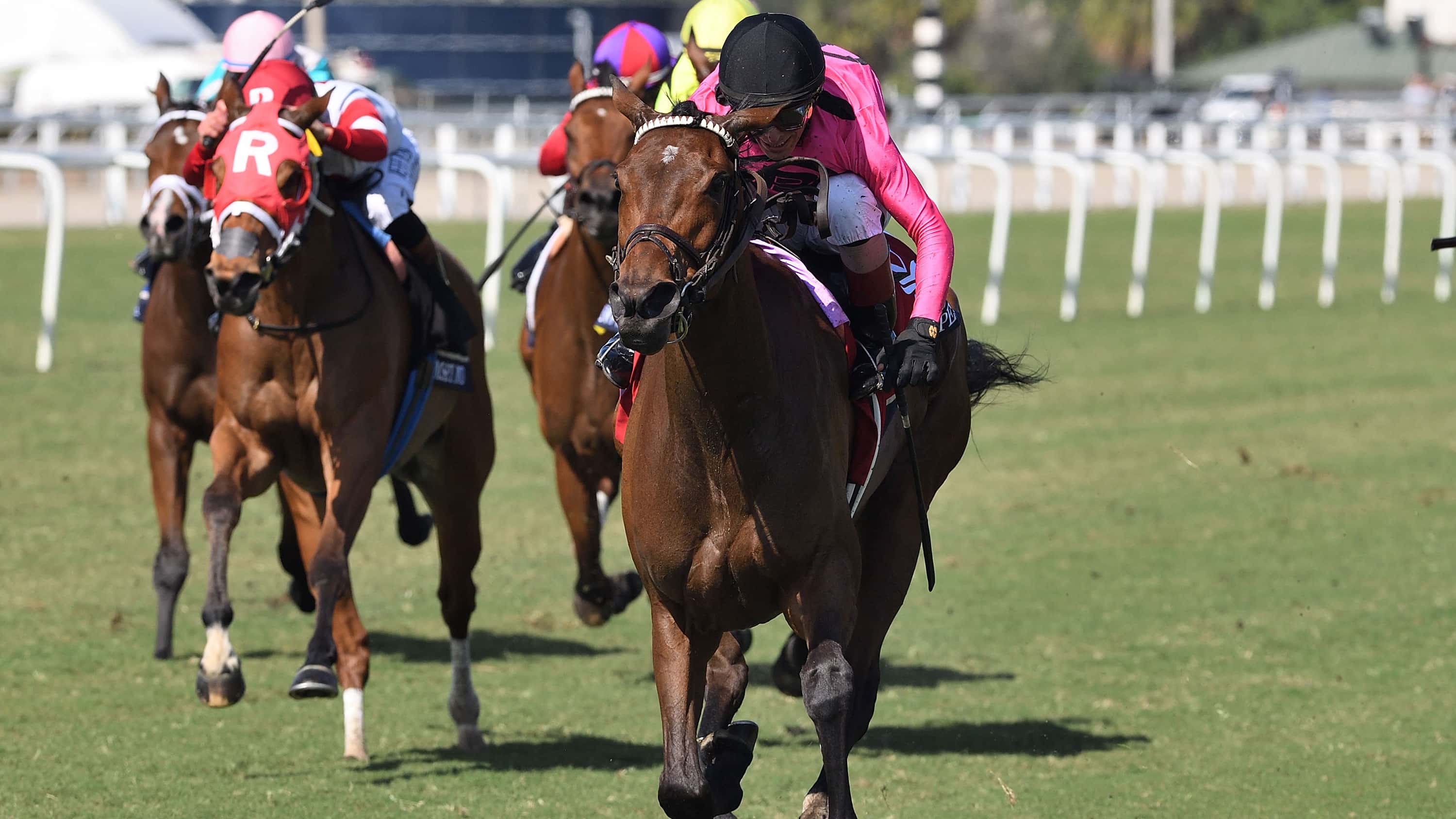 Speed-Shopper-the-Christophe-Clement