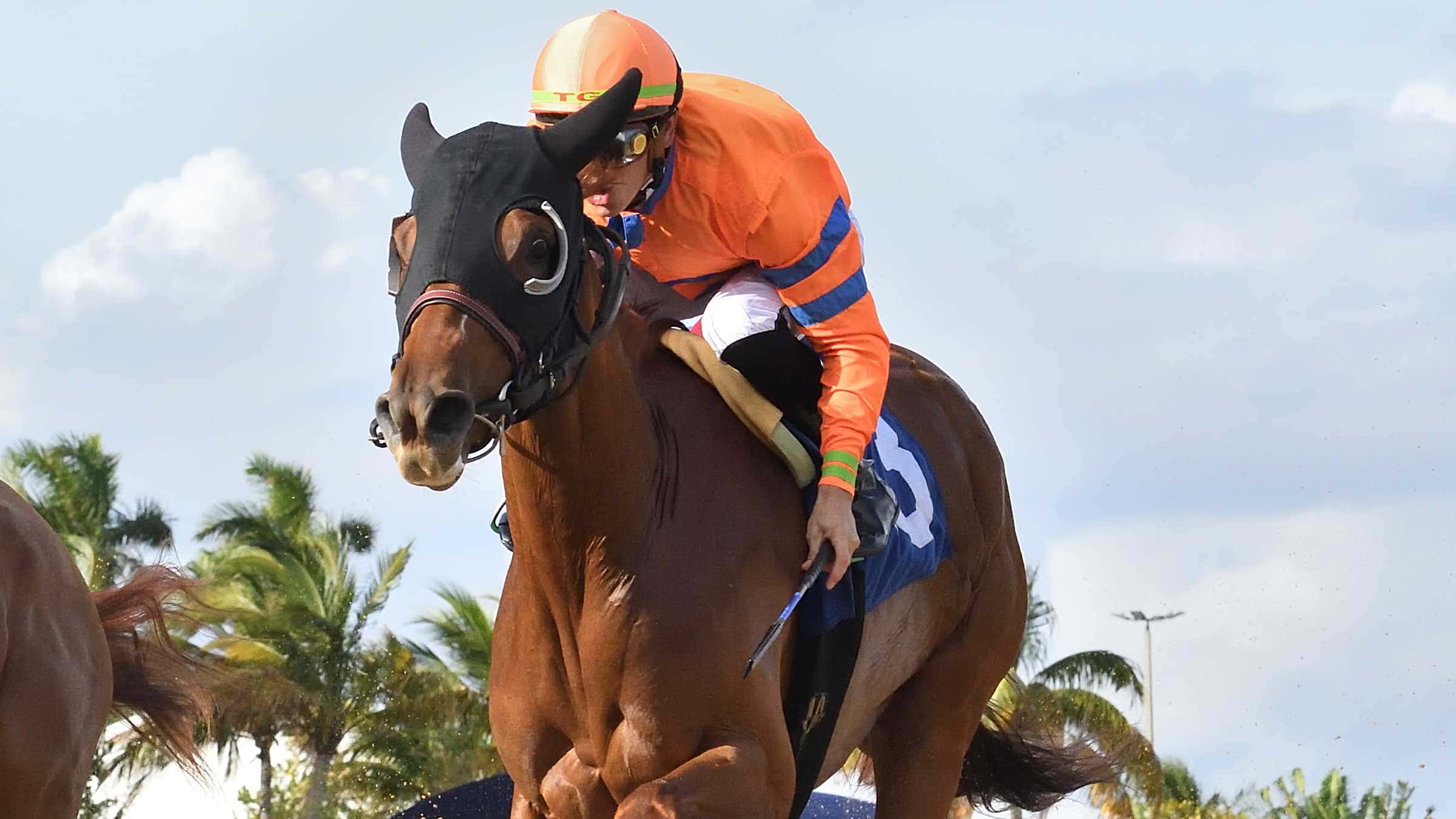 Windy-Walk-the-Rampart