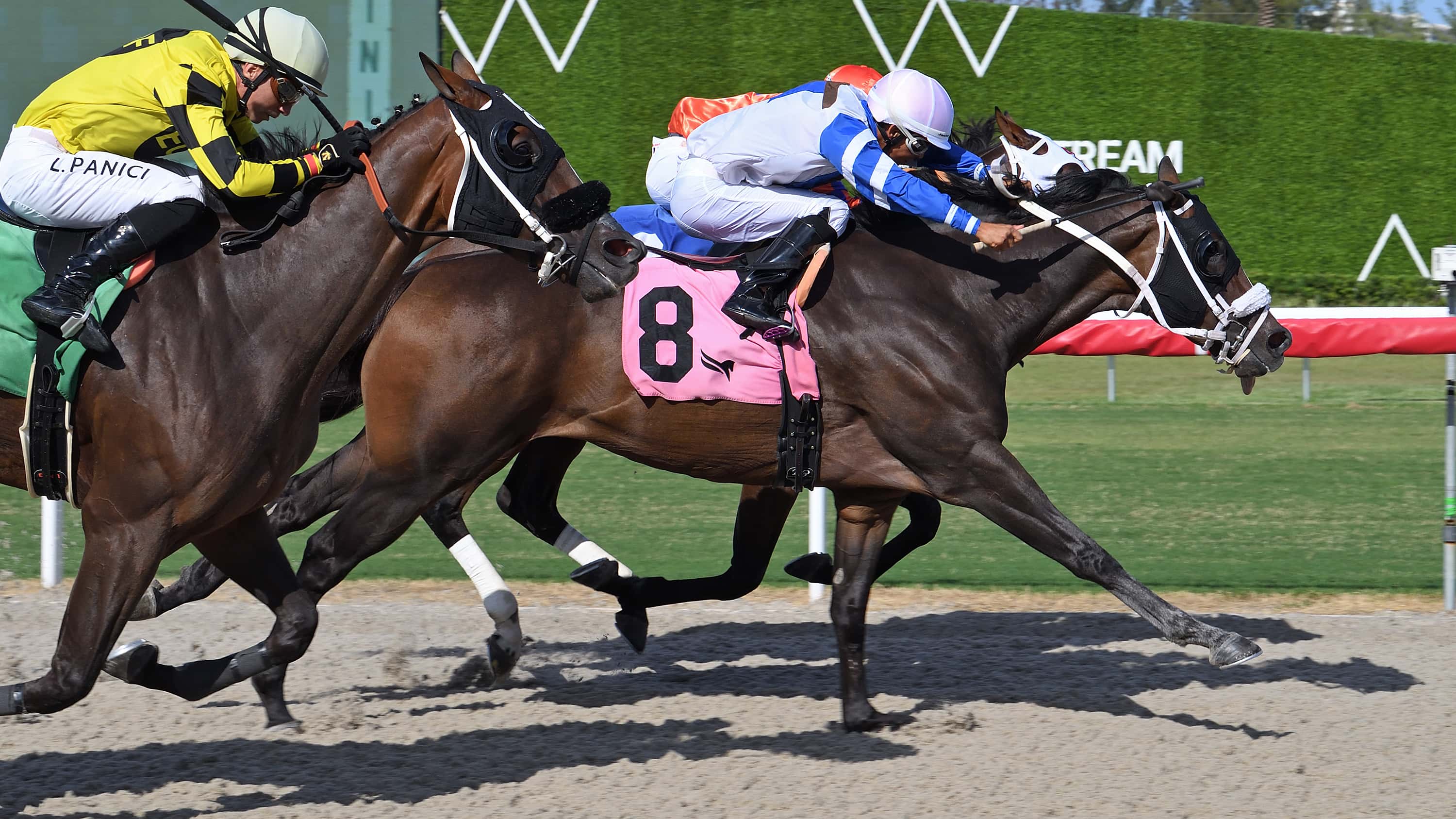 And-Uwish-The-Successful-Native