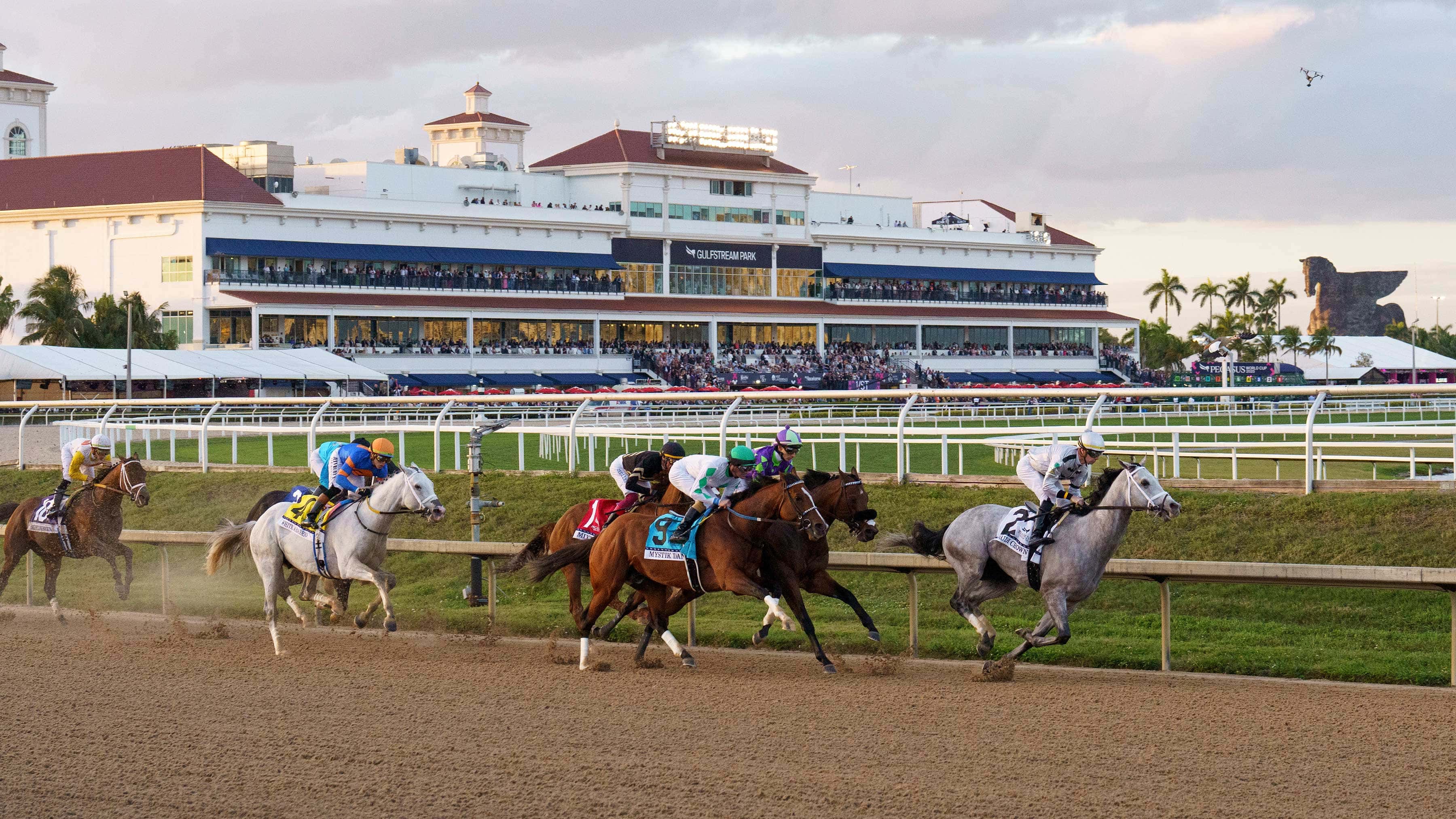 White-Abarrio-the-Pegasus-full