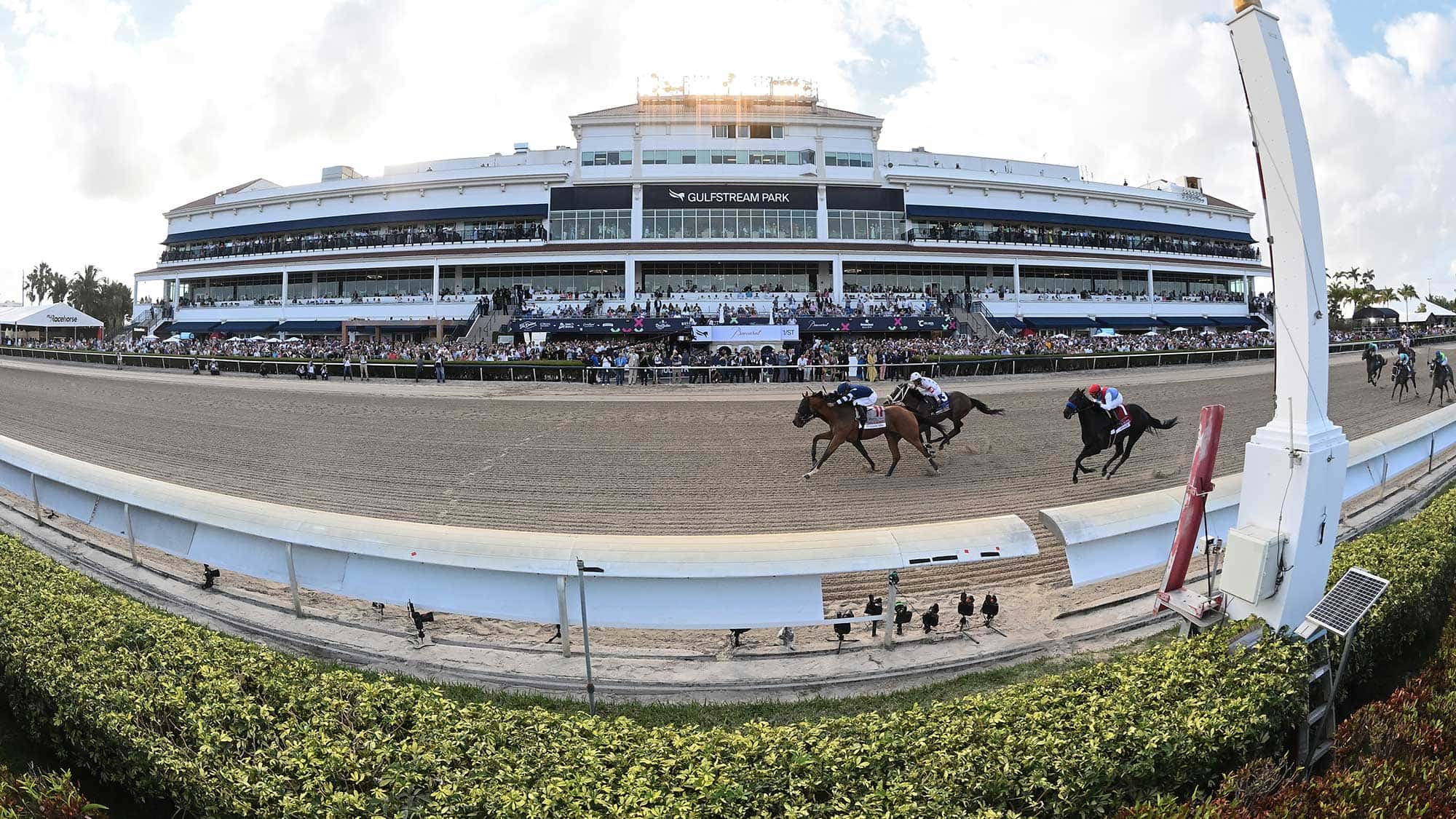 Tumbarumba-the-Fred-Hooper3