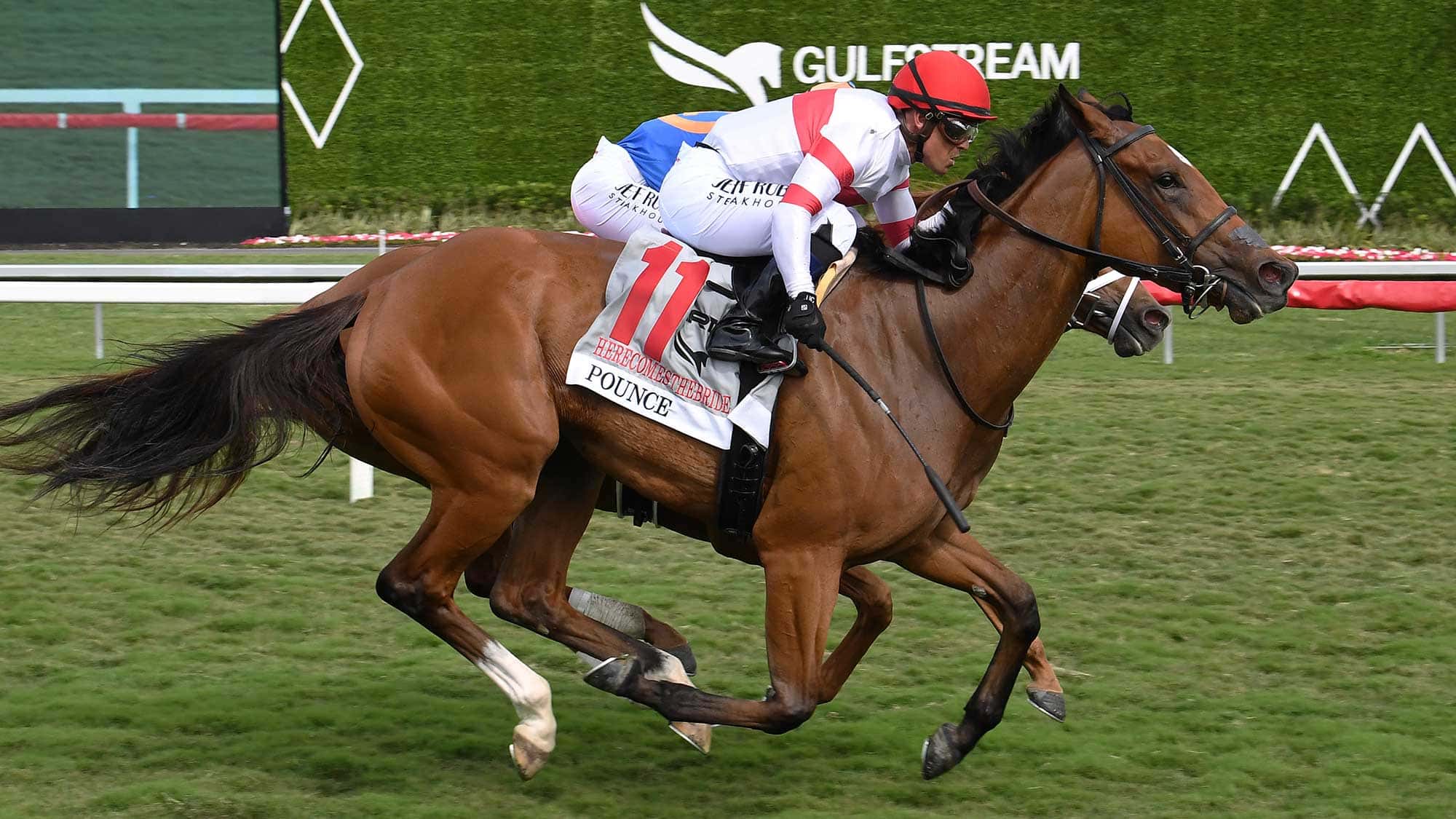 Pounce-the-Herecomesthebride