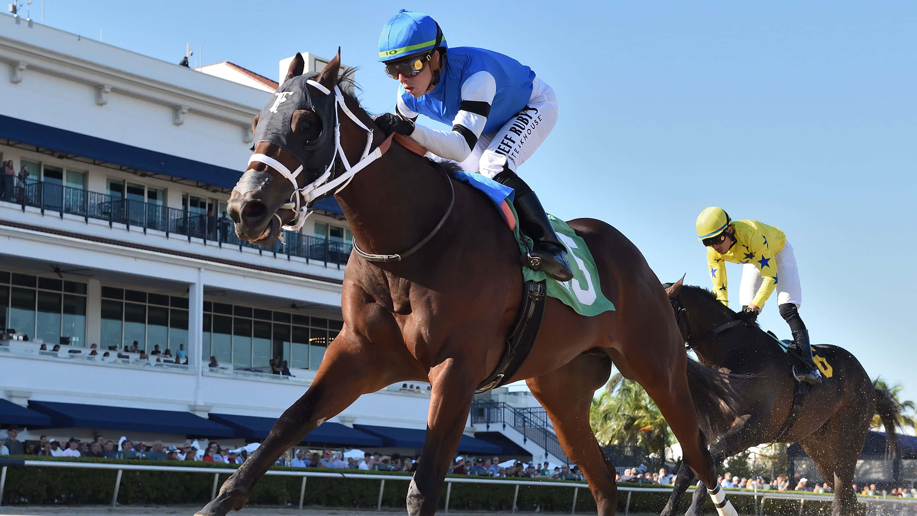 Big-Paradise-the-Juvenile-Sprint