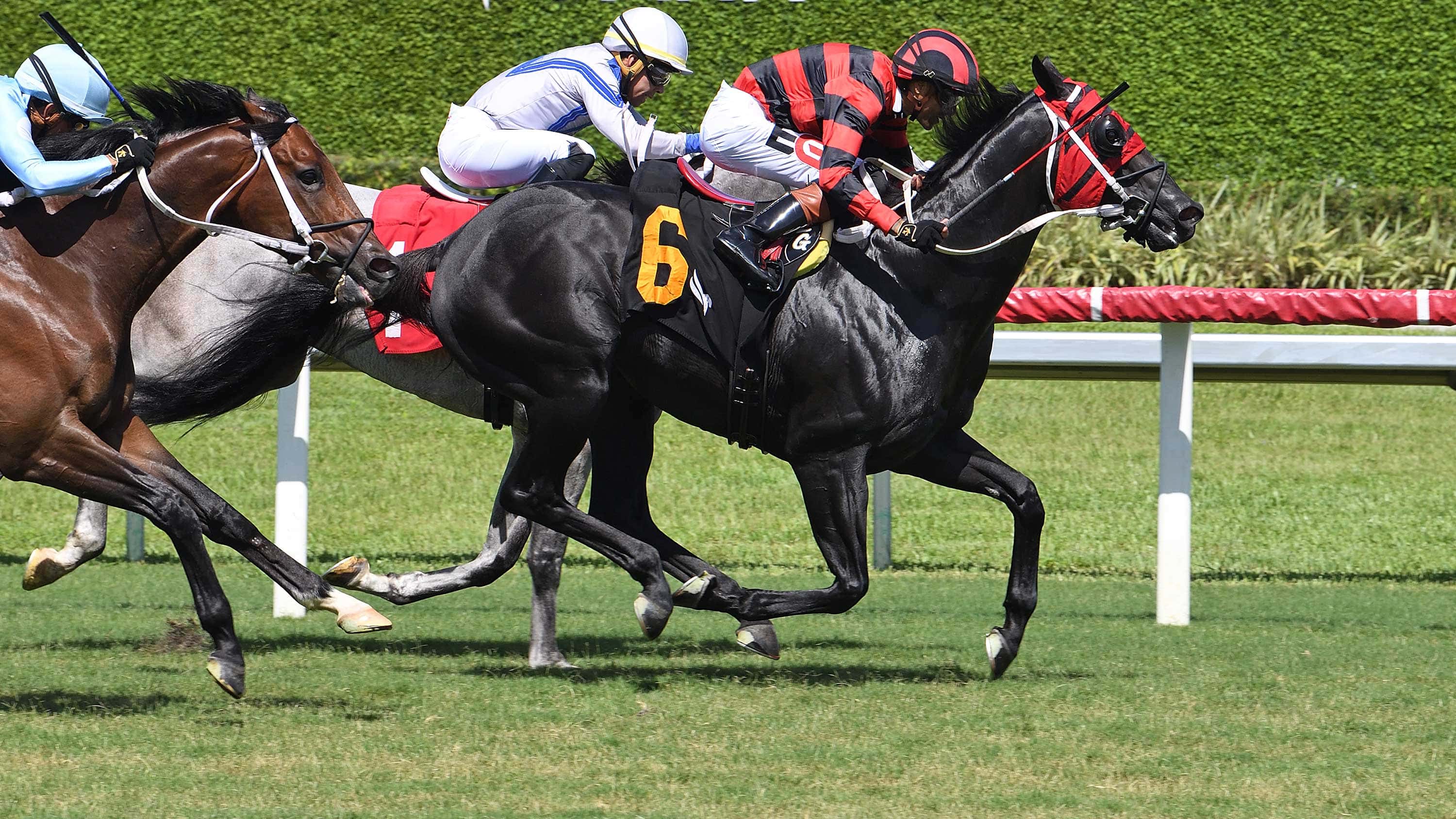 Extendo Returns to Winning Form in Warrior’s Pride Handicap