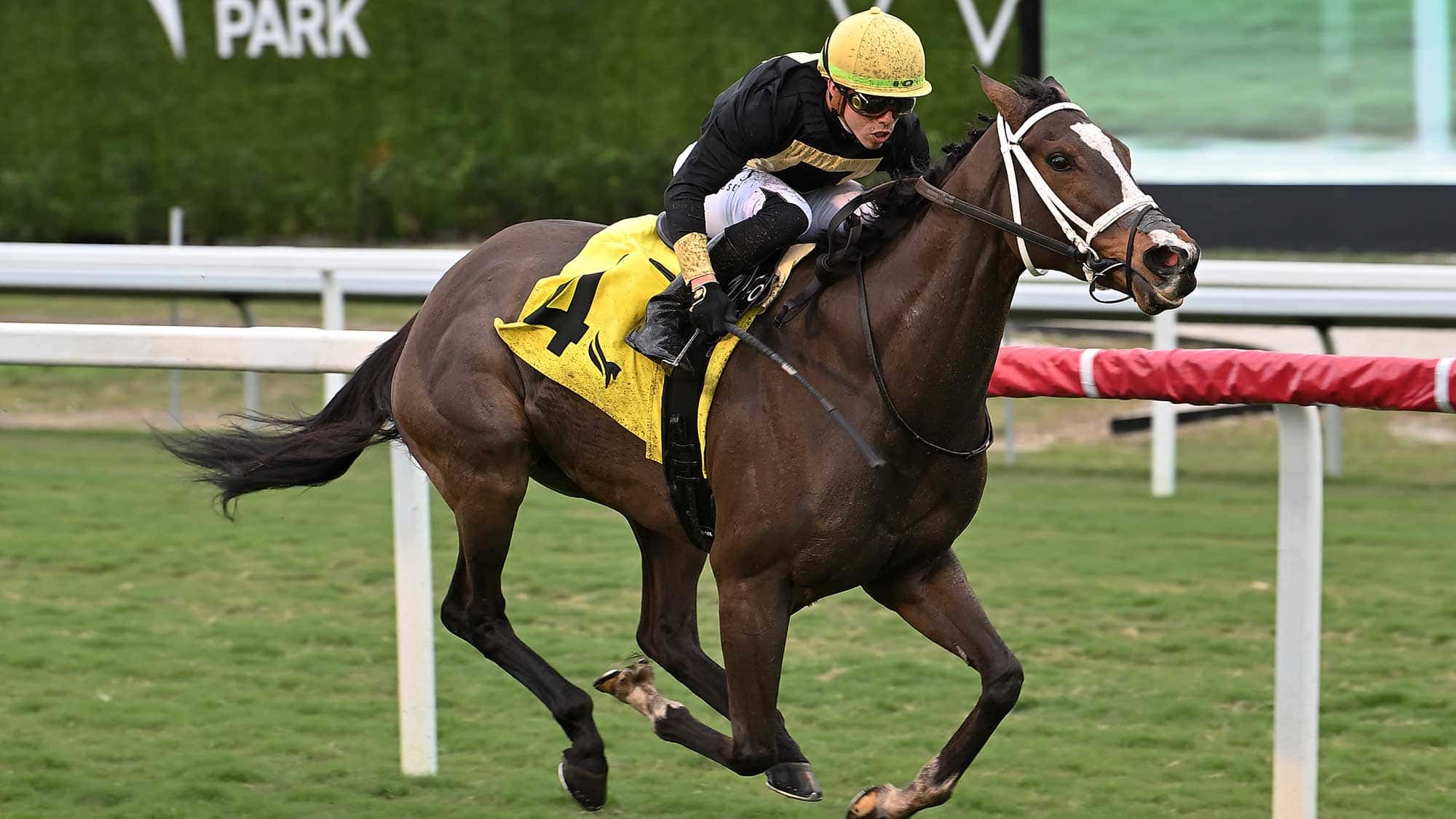 Full-Count-Felicia-the-Suwannee-River