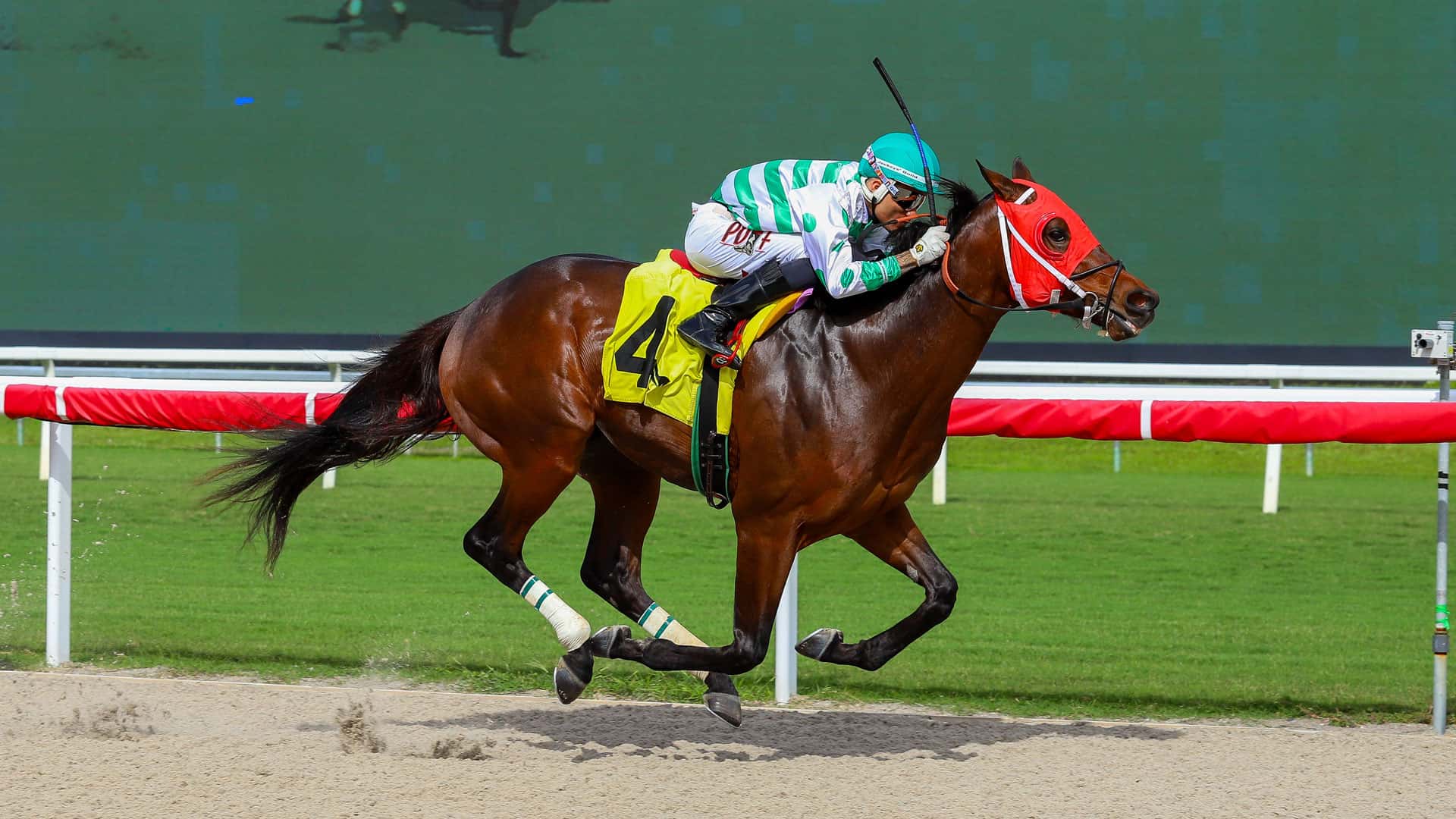 Trelawny---Article-in-Spanish---20260402