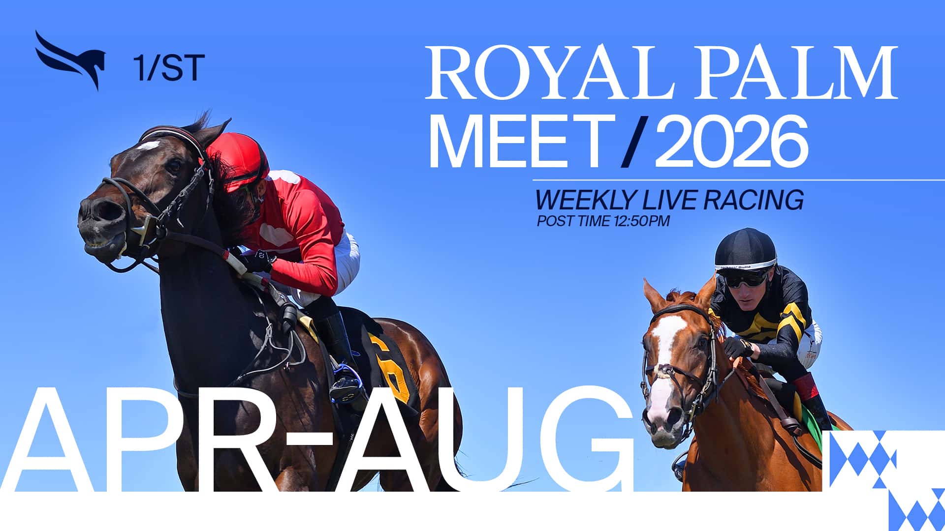 26 RPMeet 1920x1080 Evergreen background asset