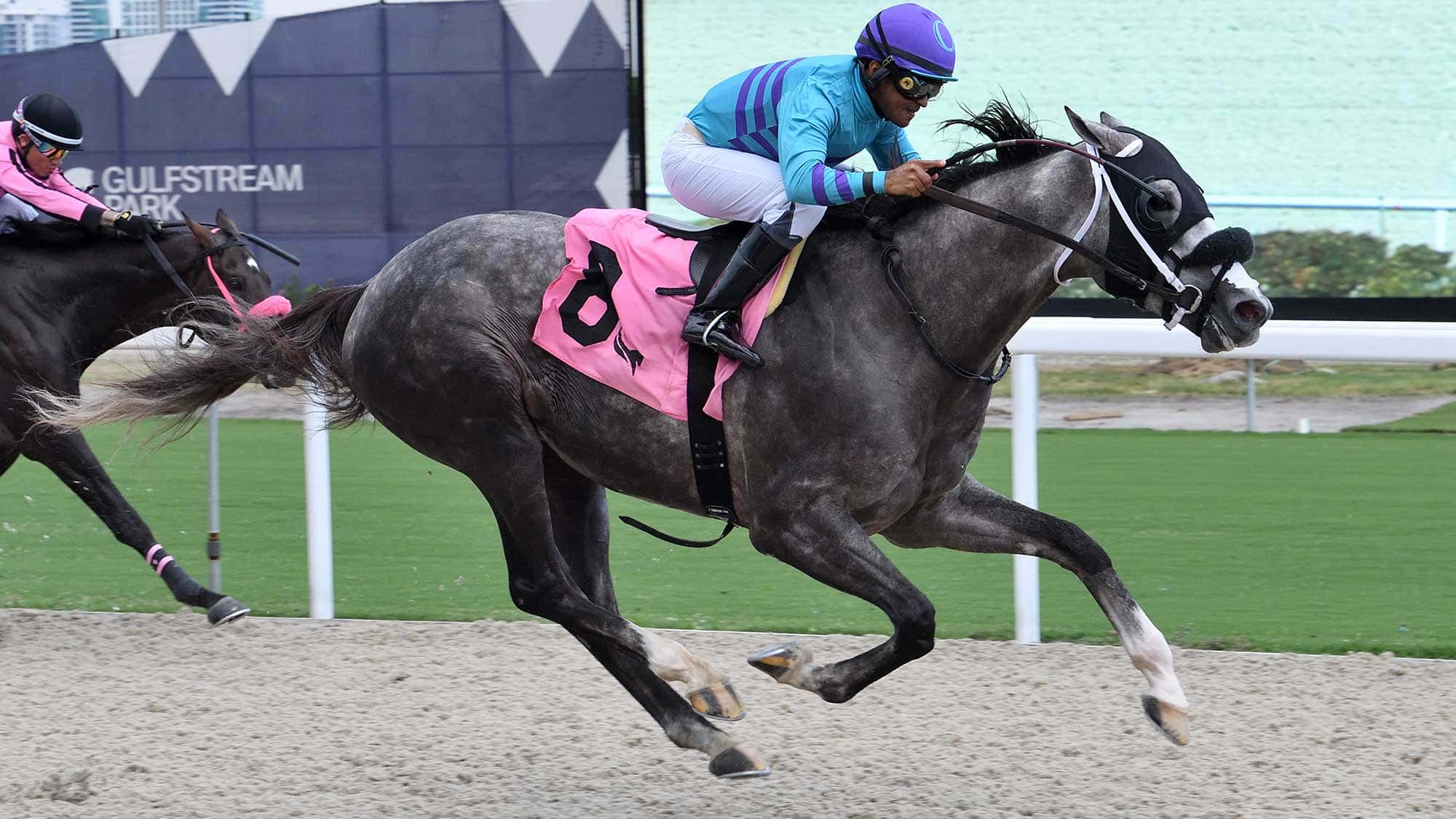 Amstrong-the-Bears-Den-1